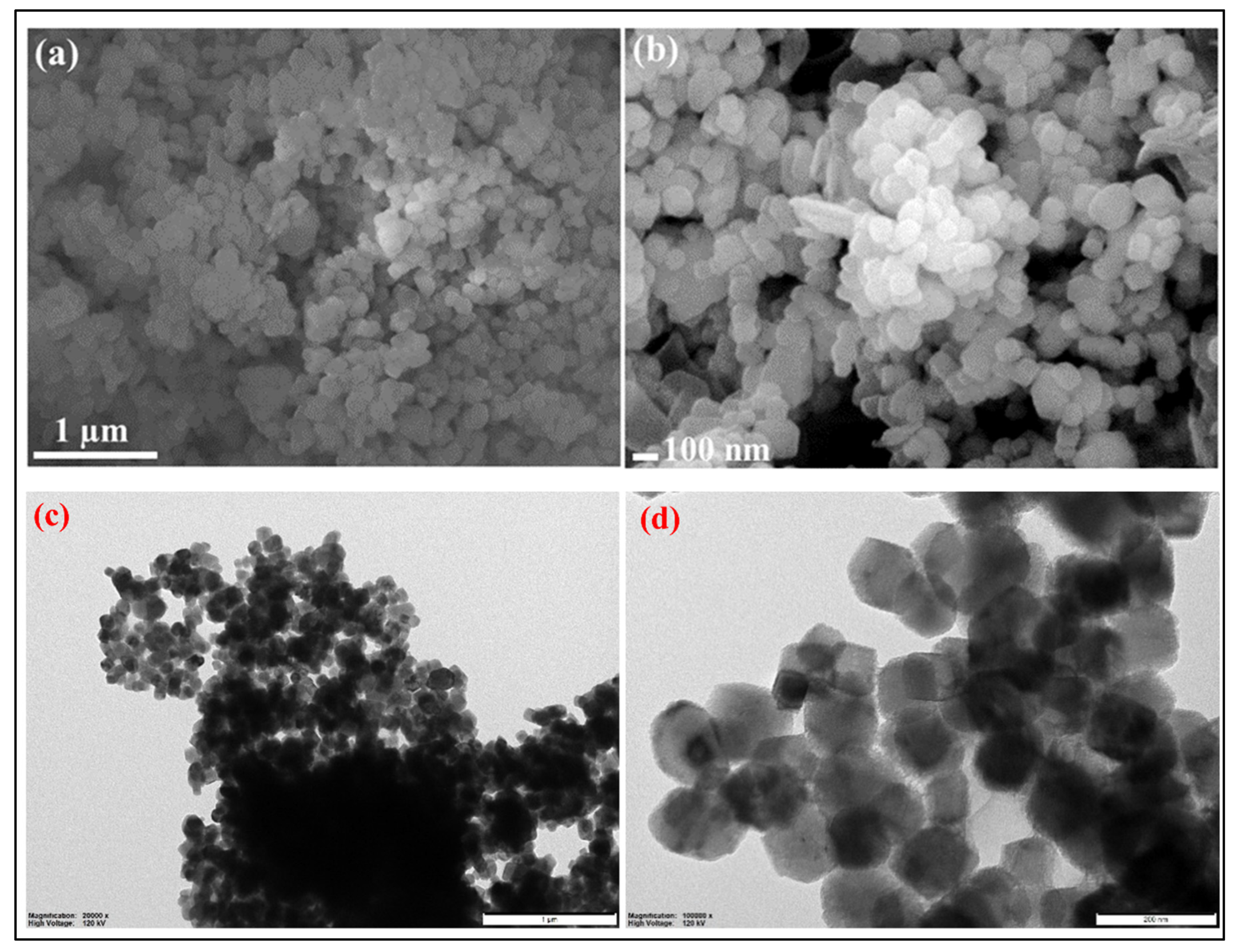 Molecules 28 00316 g007 Molecules 28 00316 g007