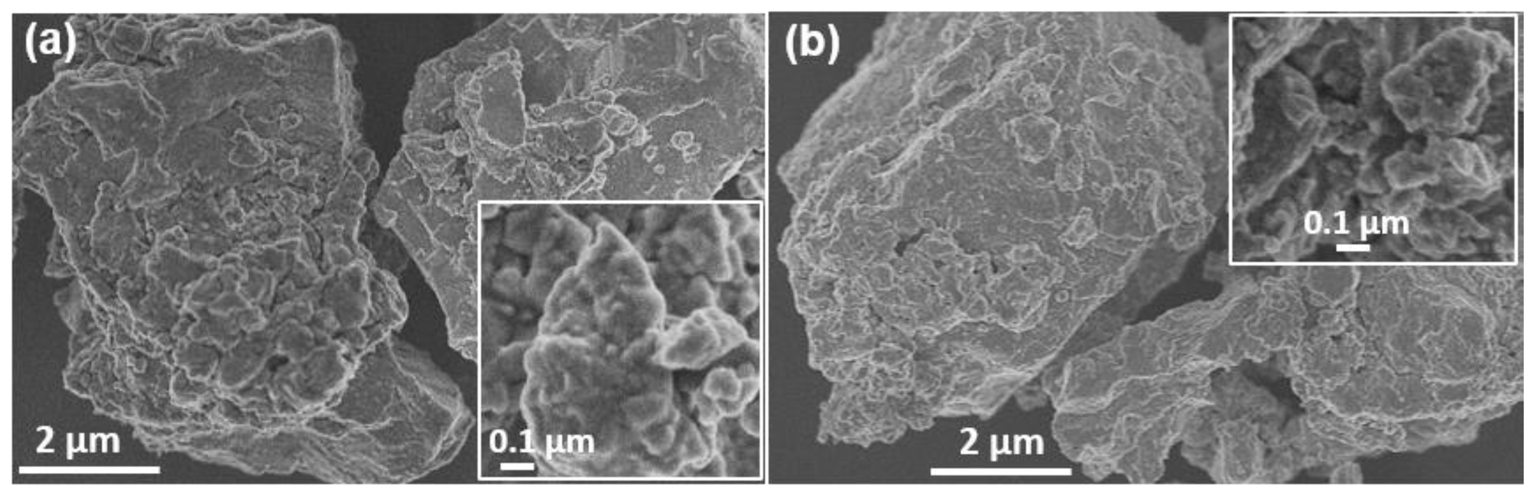 Molecules 28 00326 g004