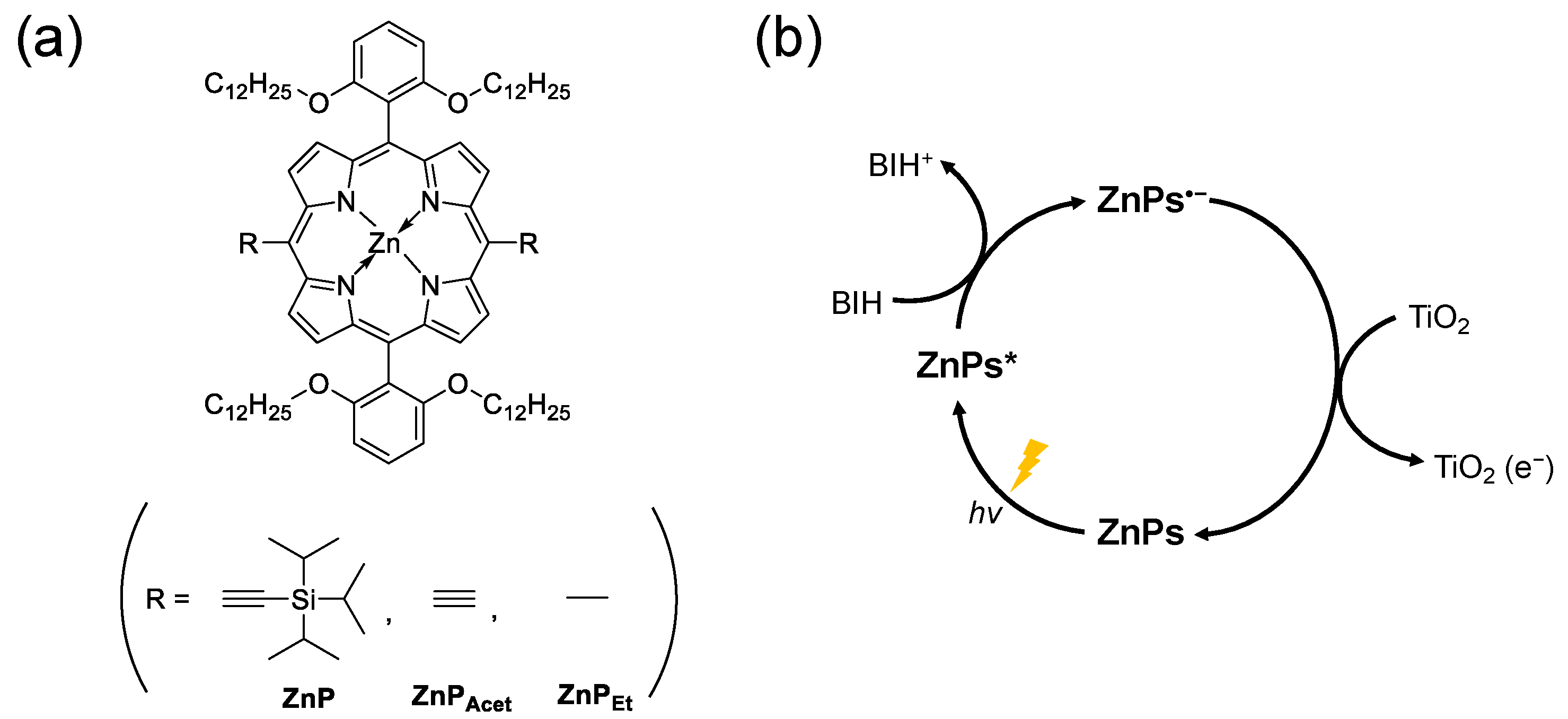 Molecules 28 00327 g001