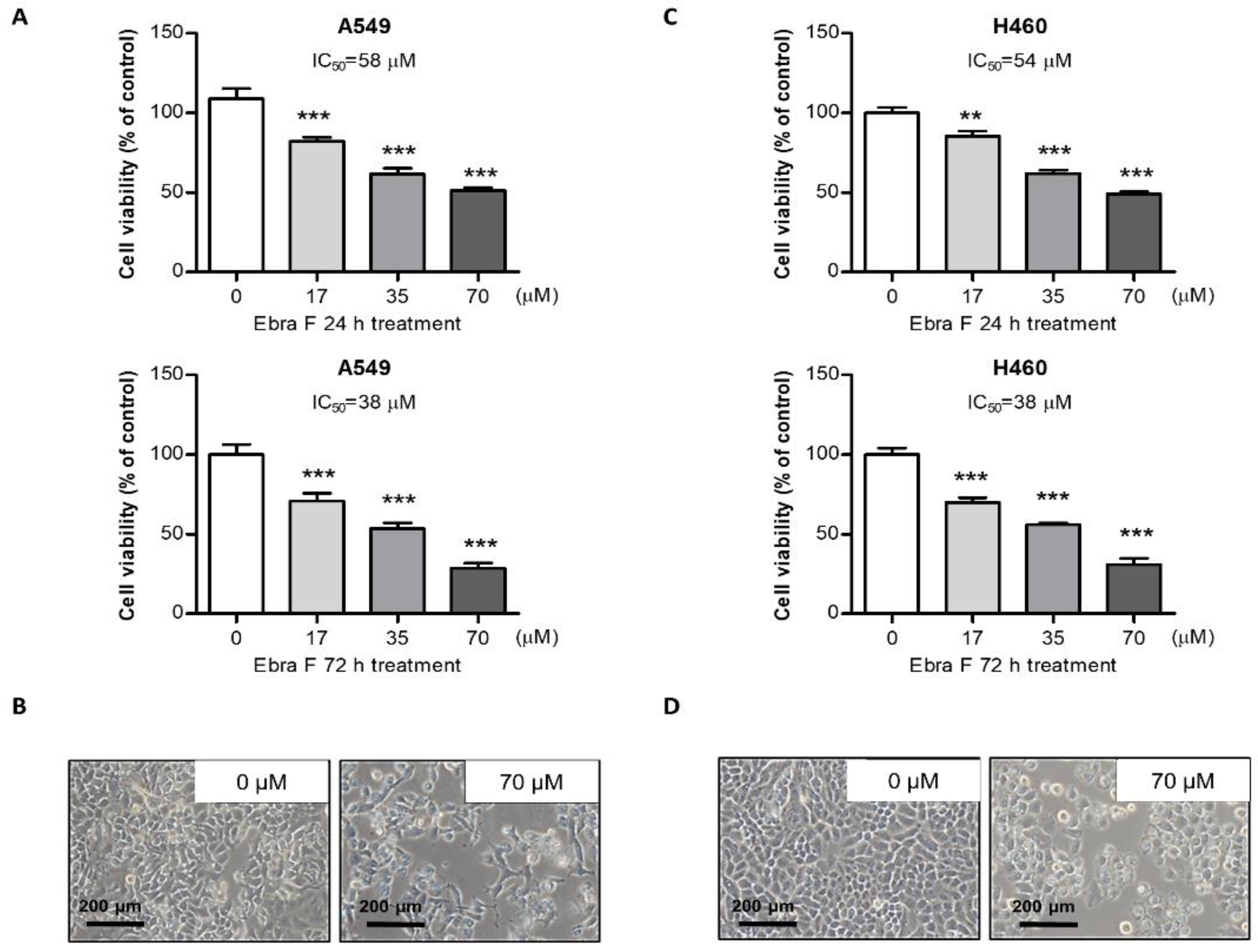 Molecules 28 00329 g001 Molecules 28 00329 g001