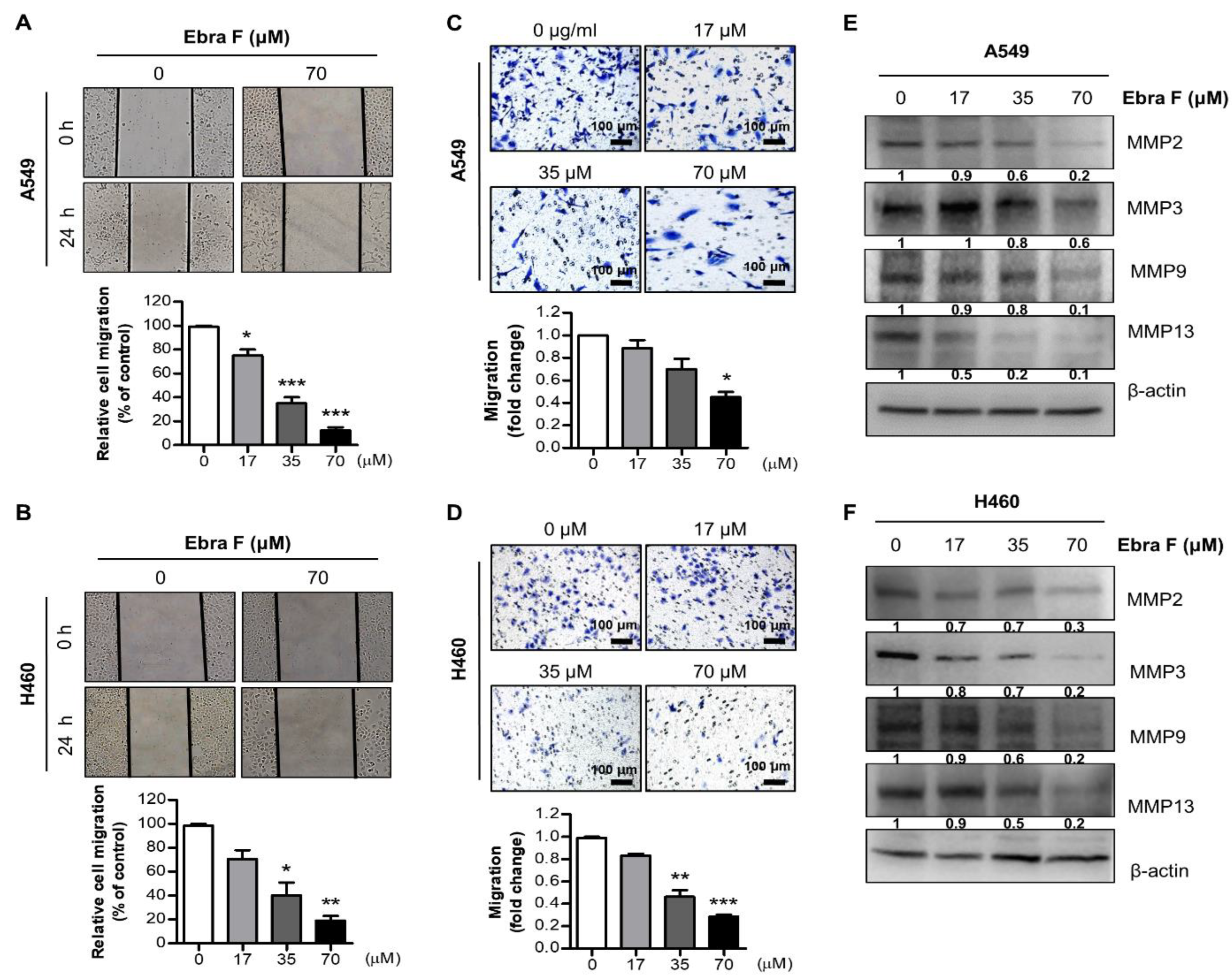 Molecules 28 00329 g002 Molecules 28 00329 g002
