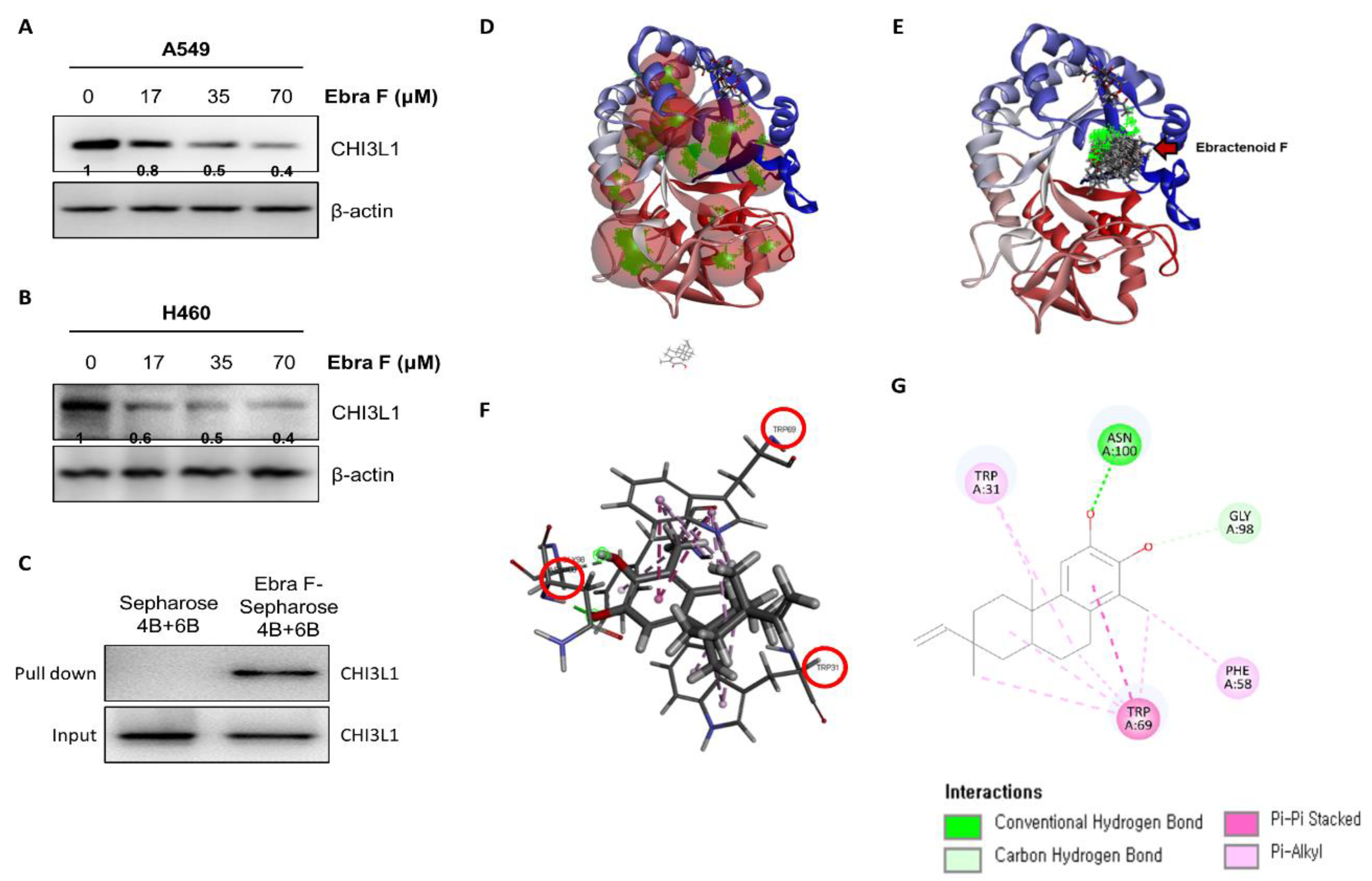 Molecules 28 00329 g005 Molecules 28 00329 g005