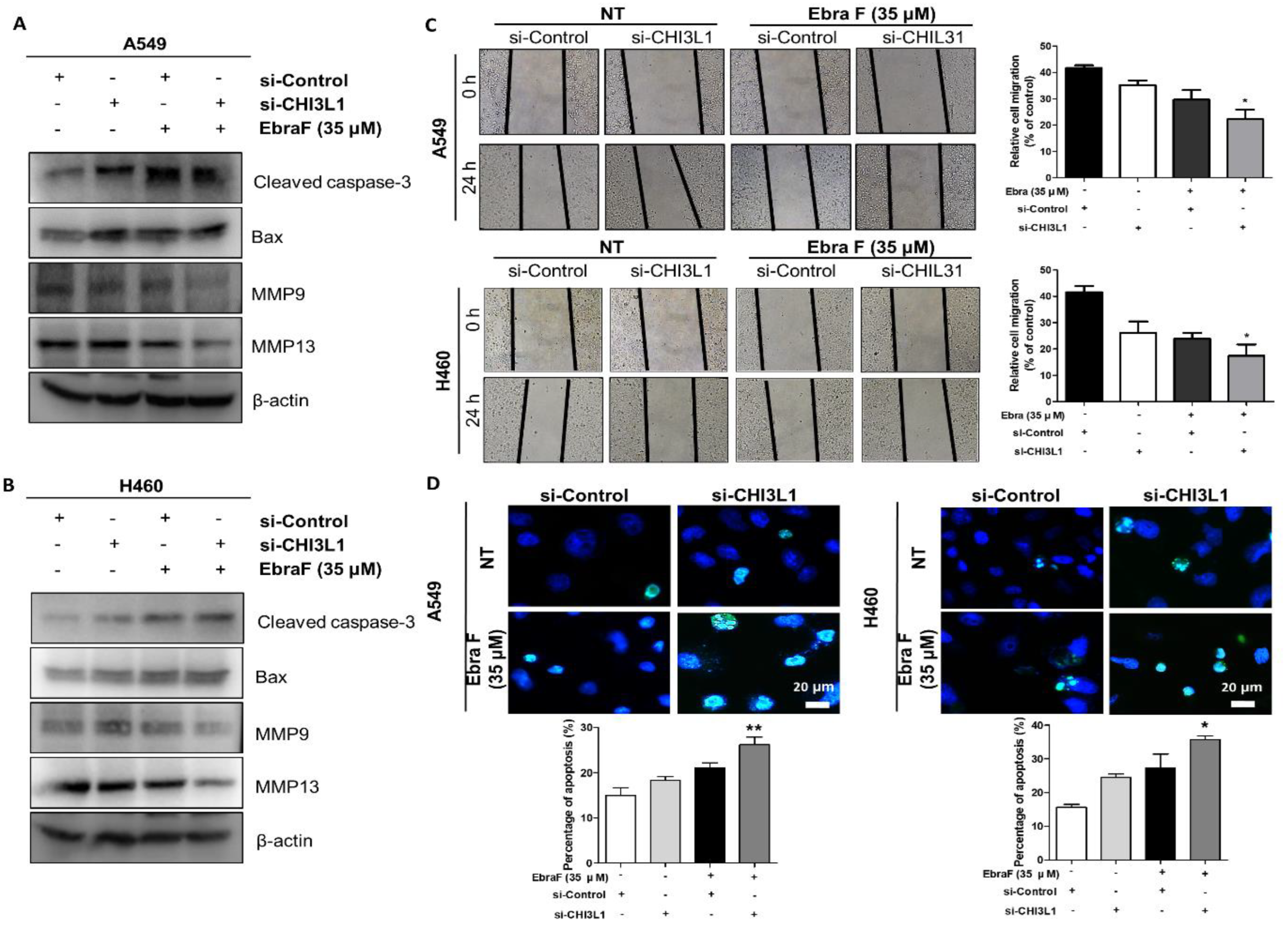 Molecules 28 00329 g006 Molecules 28 00329 g006