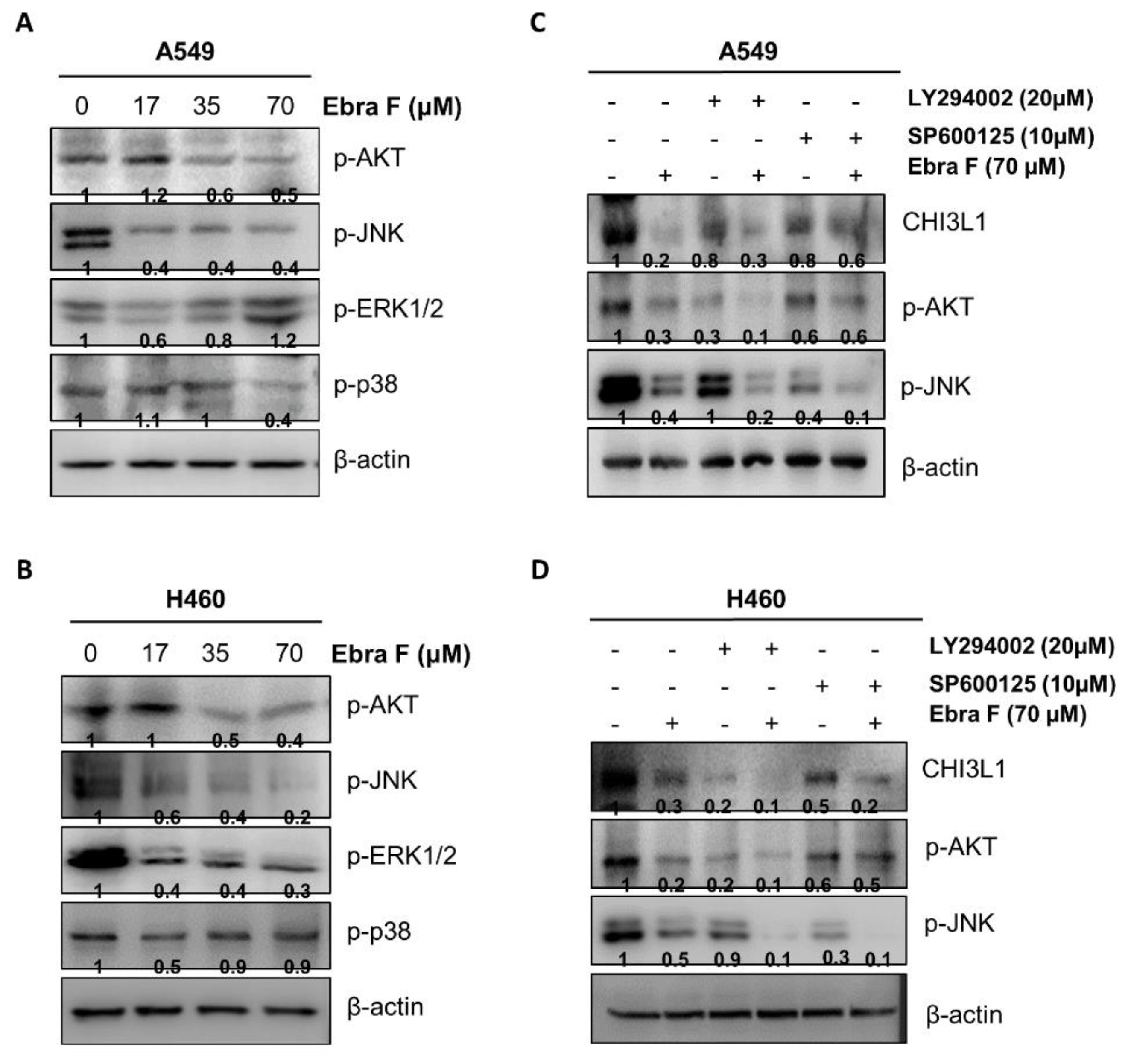Molecules 28 00329 g007 Molecules 28 00329 g007