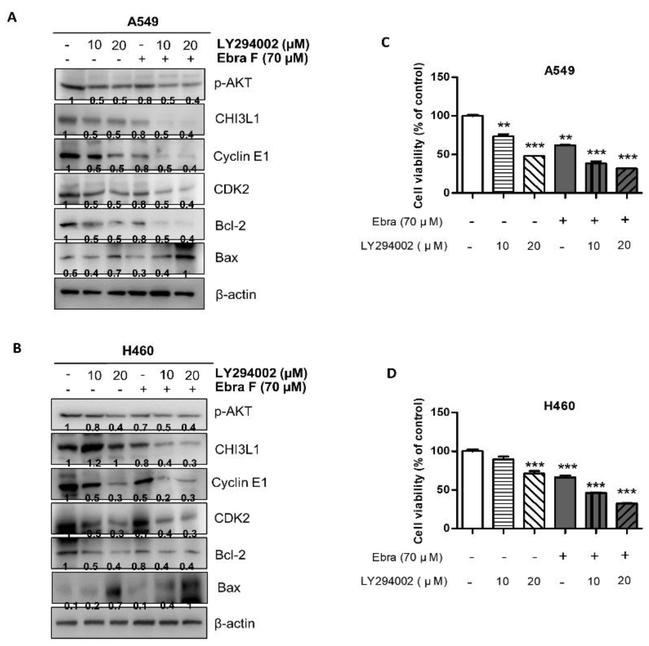 Molecules 28 00329 g008a Molecules 28 00329 g008a