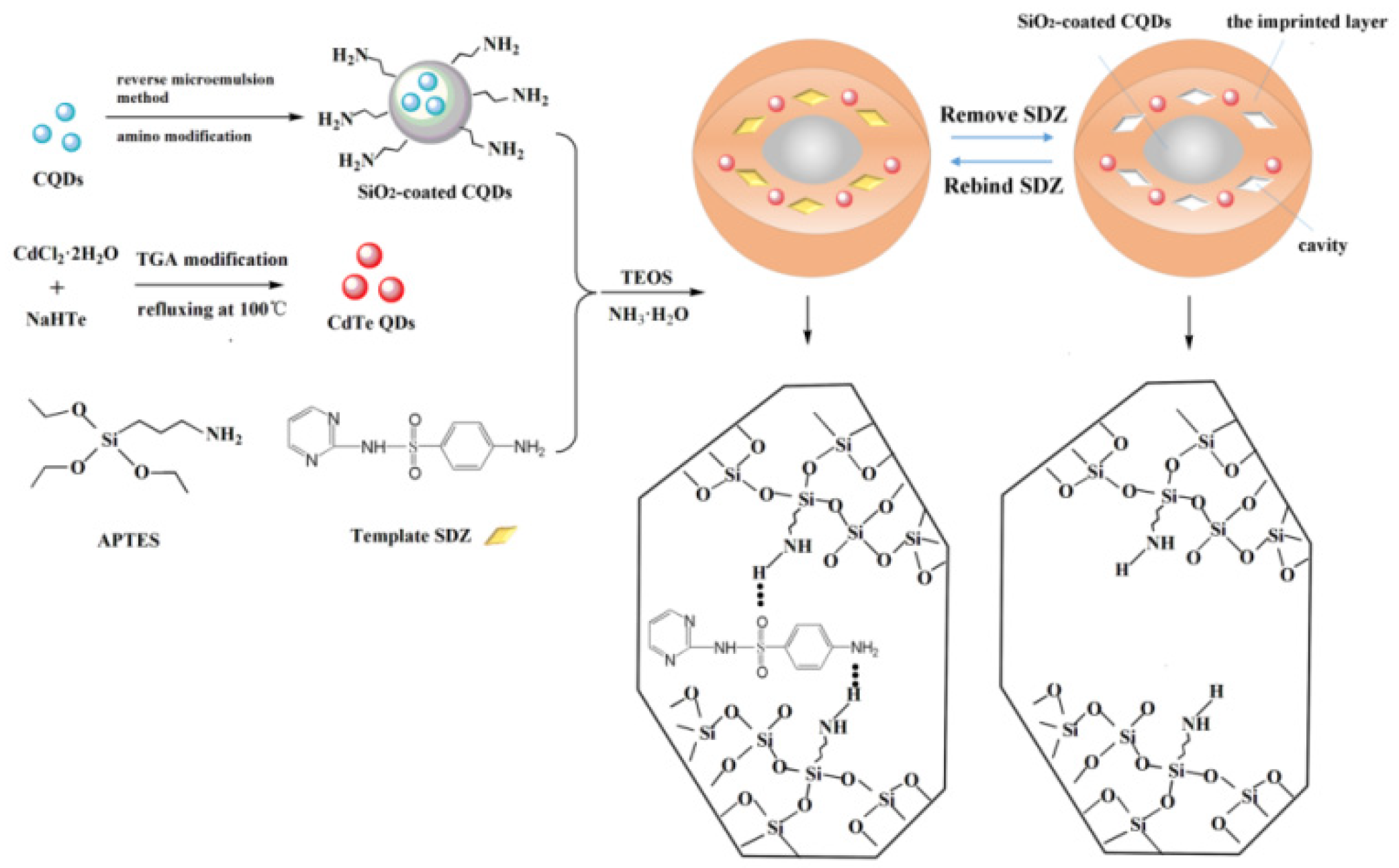 Molecules 28 00335 g004 Molecules 28 00335 g004
