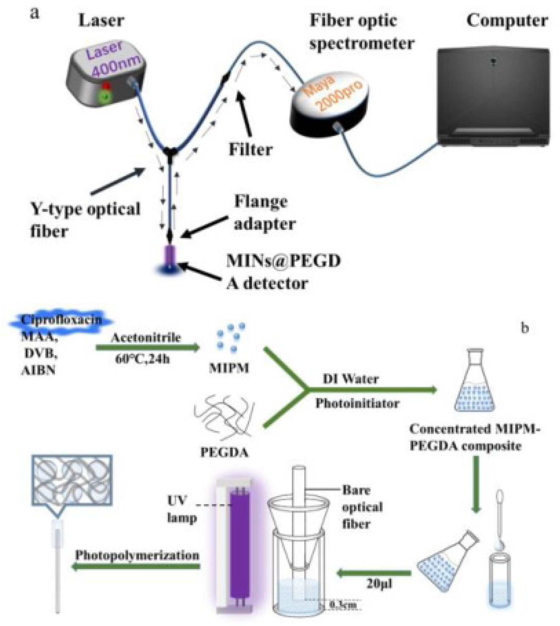 Molecules 28 00335 g006 Molecules 28 00335 g006