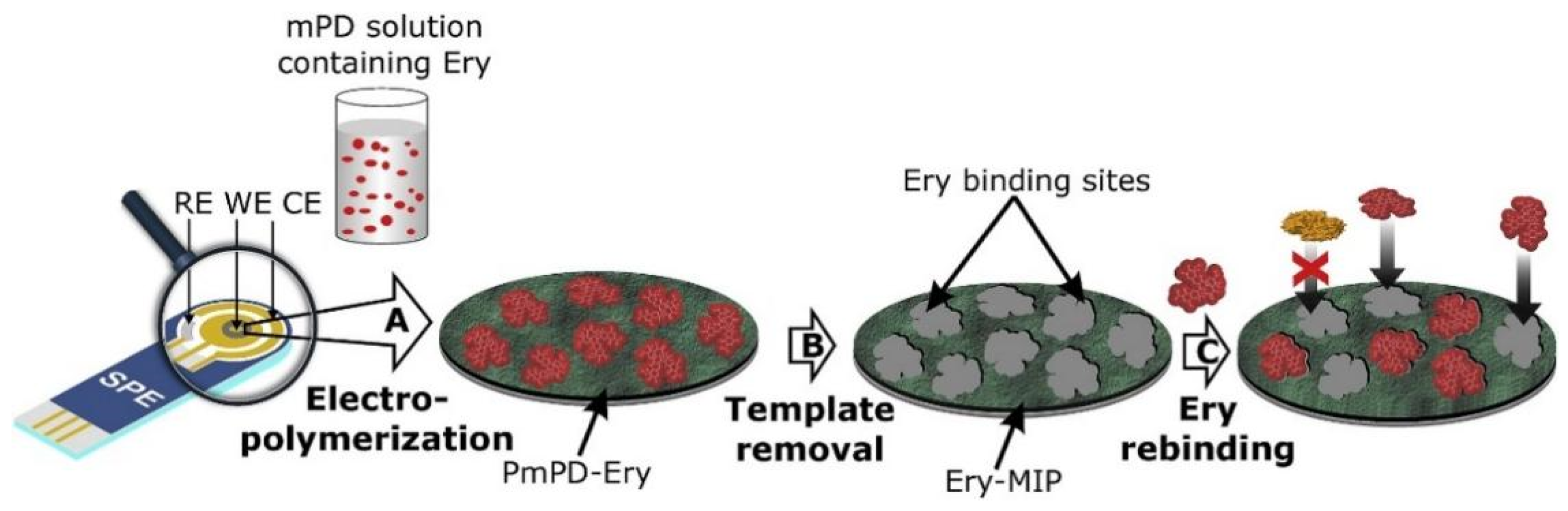 Molecules 28 00335 g007 Molecules 28 00335 g007
