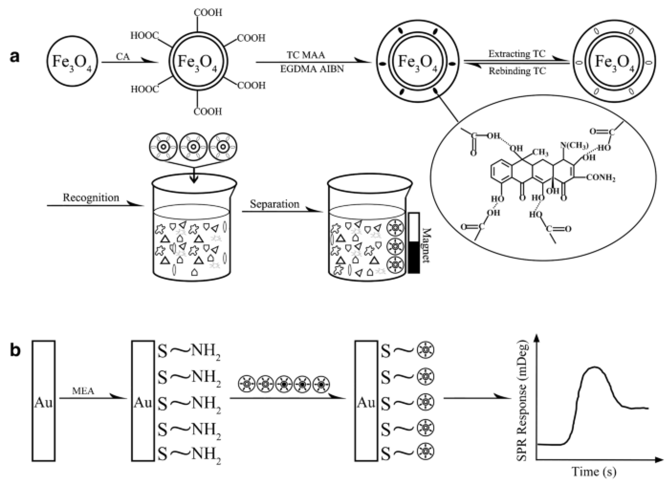 Molecules 28 00335 g009 Molecules 28 00335 g009