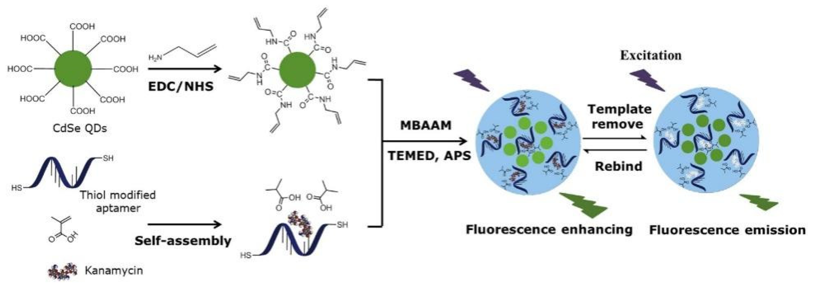 Molecules 28 00335 g011 Molecules 28 00335 g011