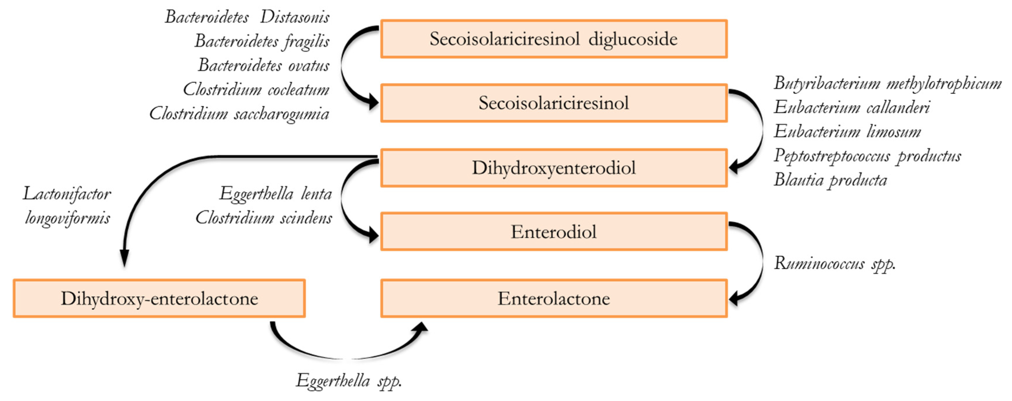 Molecules 28 00343 g001 Molecules 28 00343 g001