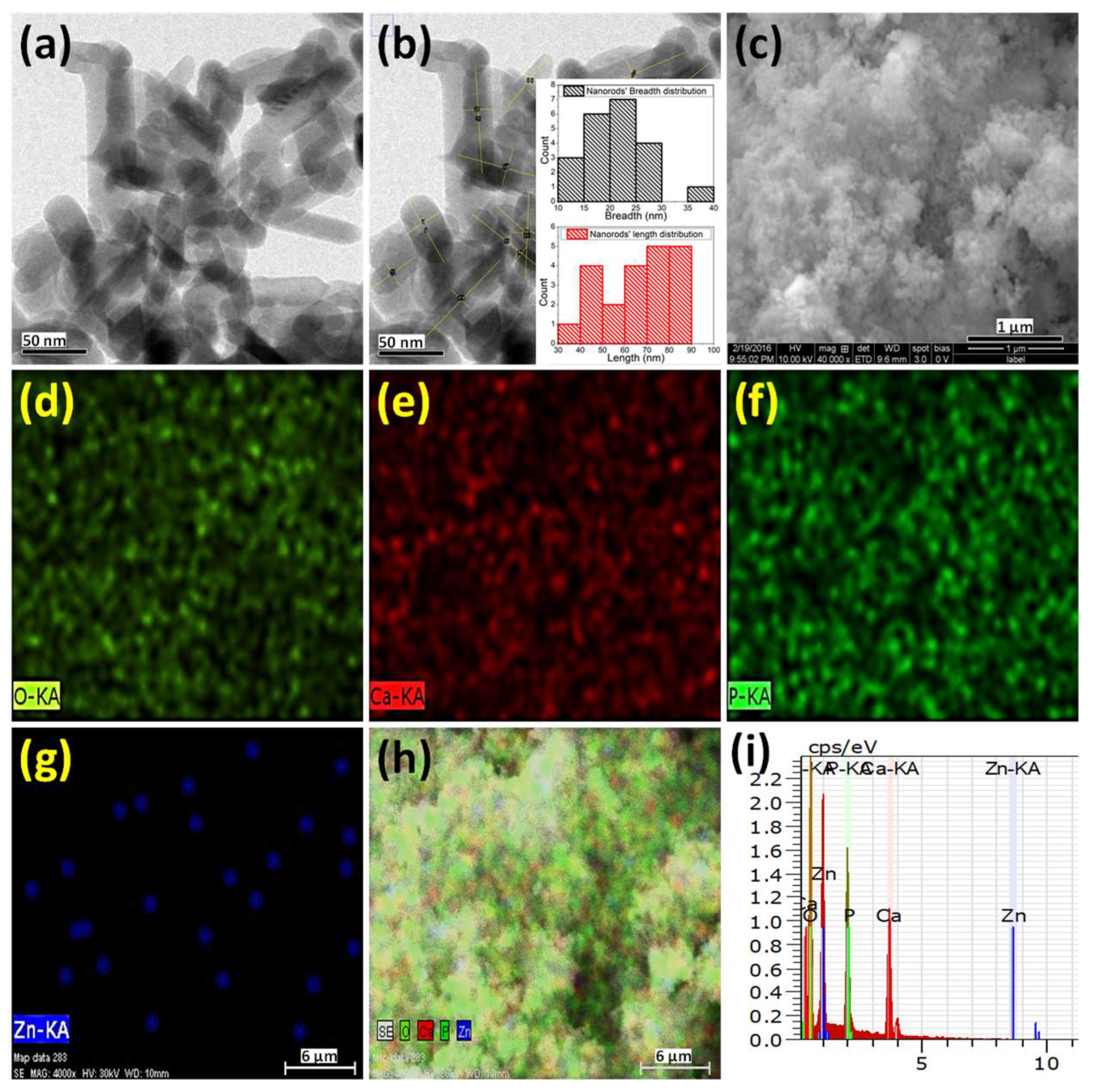 Molecules 28 00345 g002 Molecules 28 00345 g002