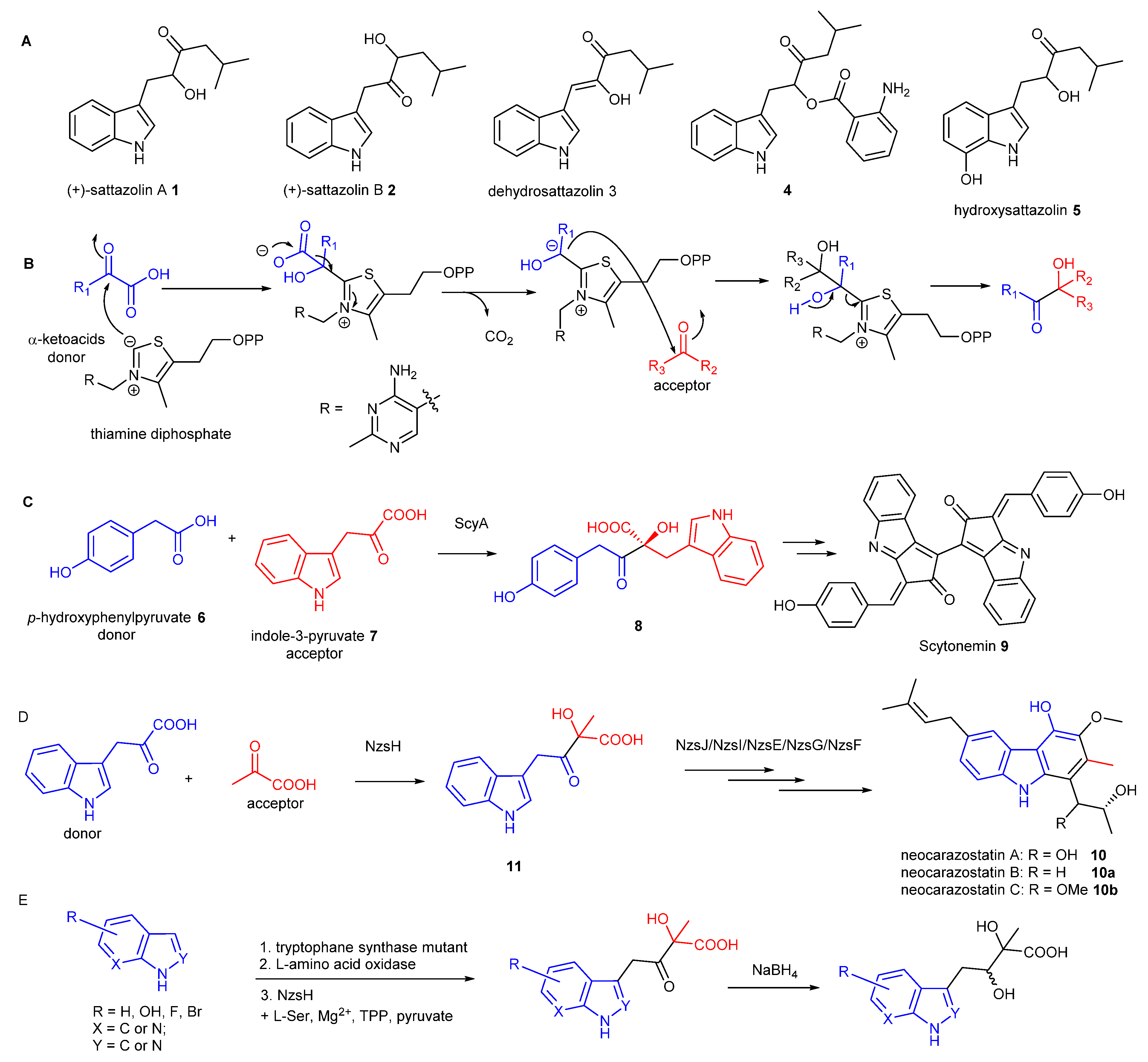 Molecules 28 00354 g001
