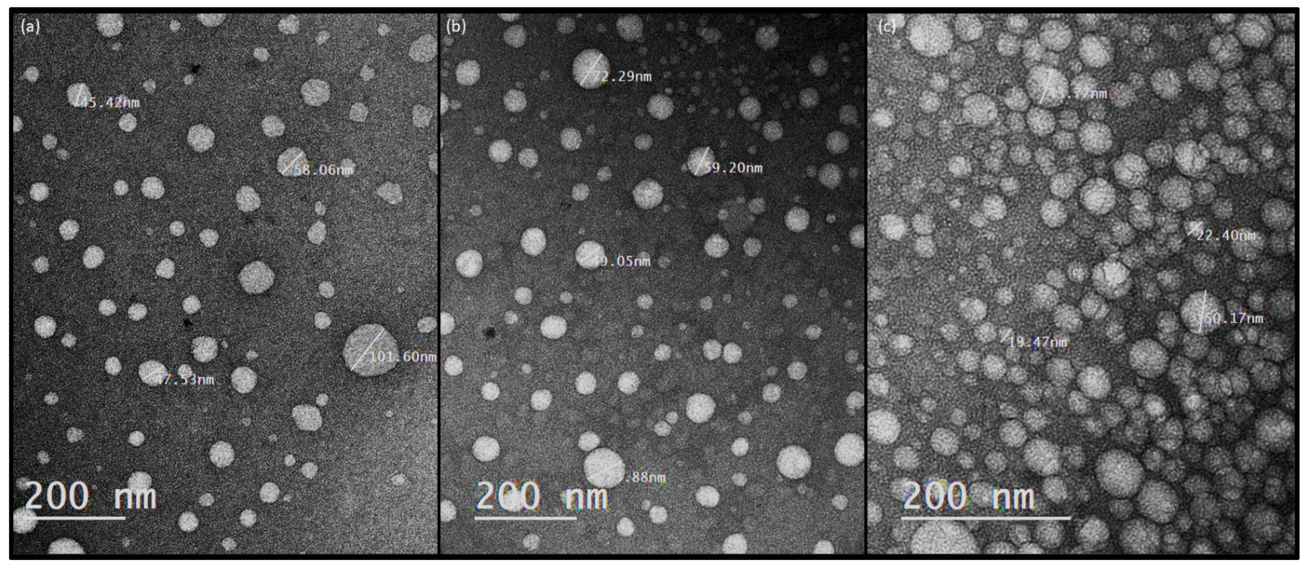 Molecules 28 00358 g002 Molecules 28 00358 g002