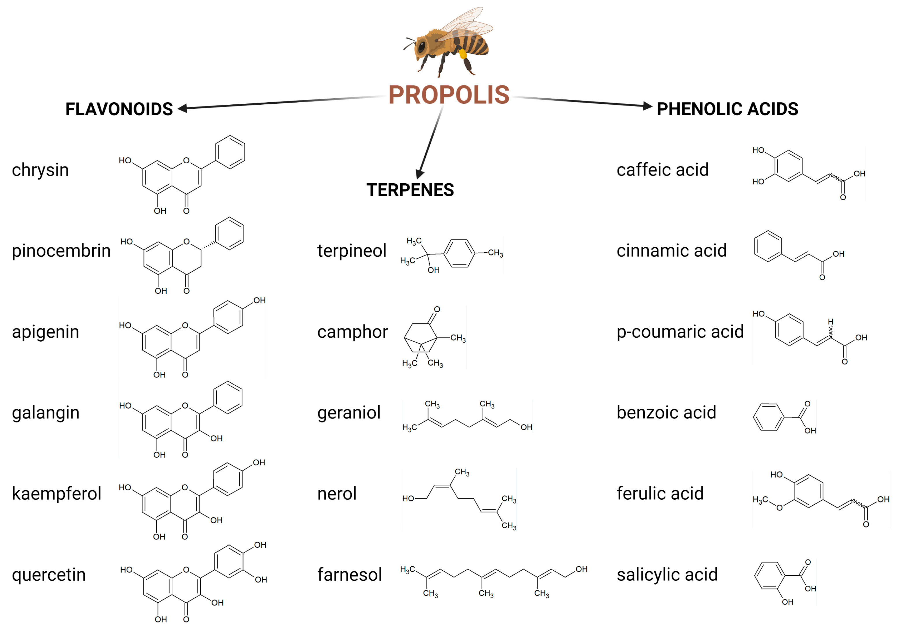 Molecules 28 00359 g002 Molecules 28 00359 g002