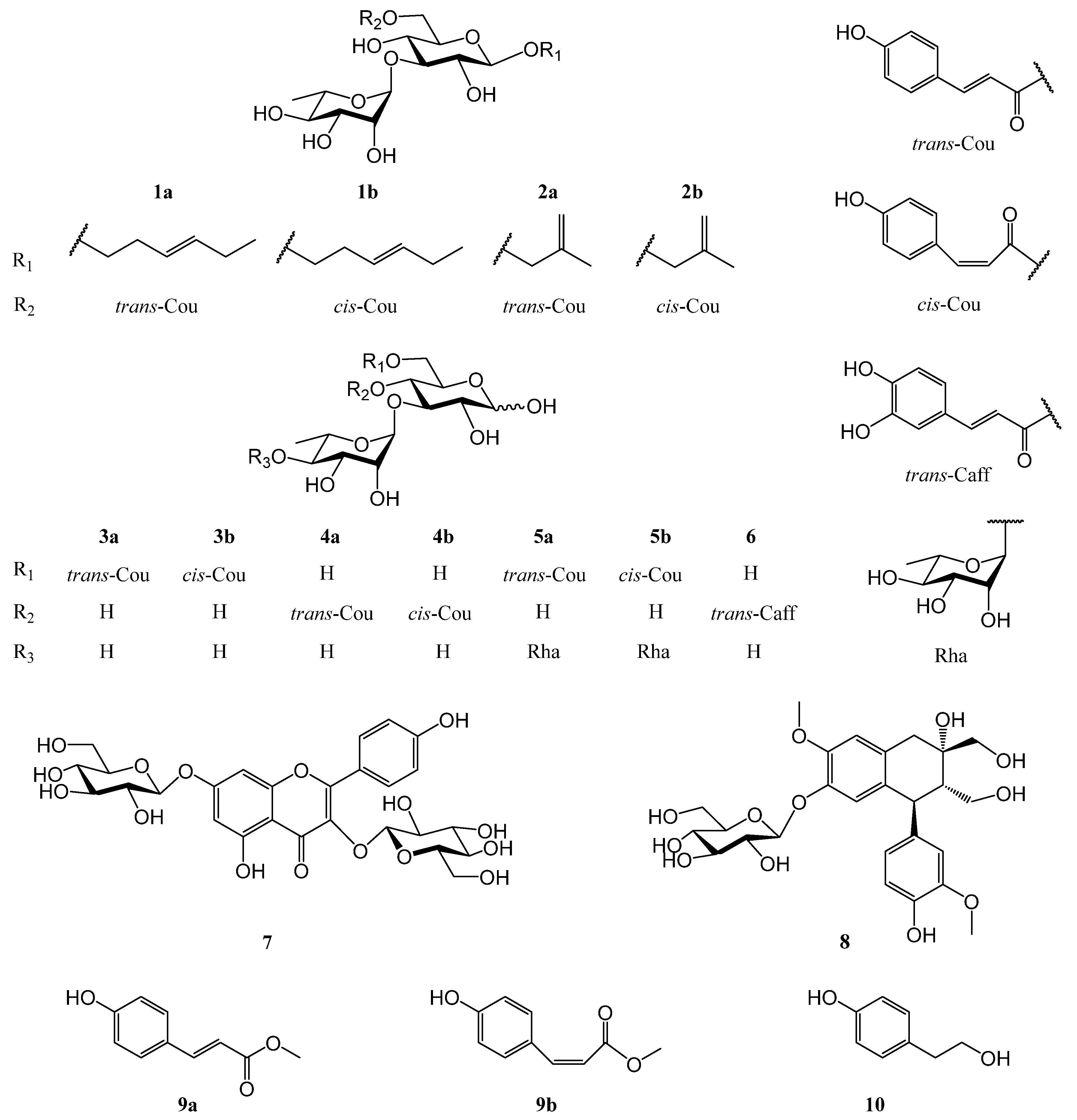 Molecules 28 00362 g001