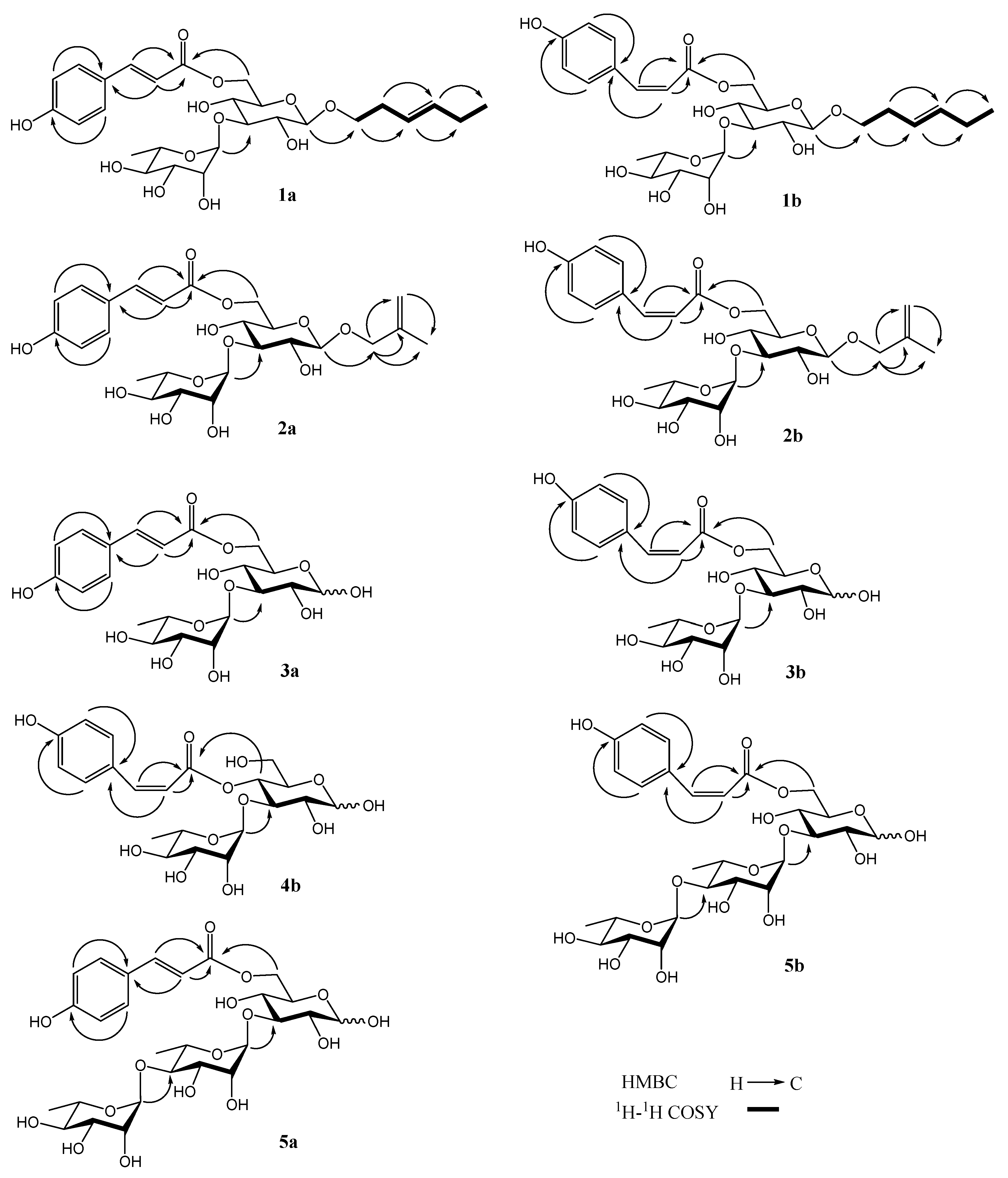 Molecules 28 00362 g002