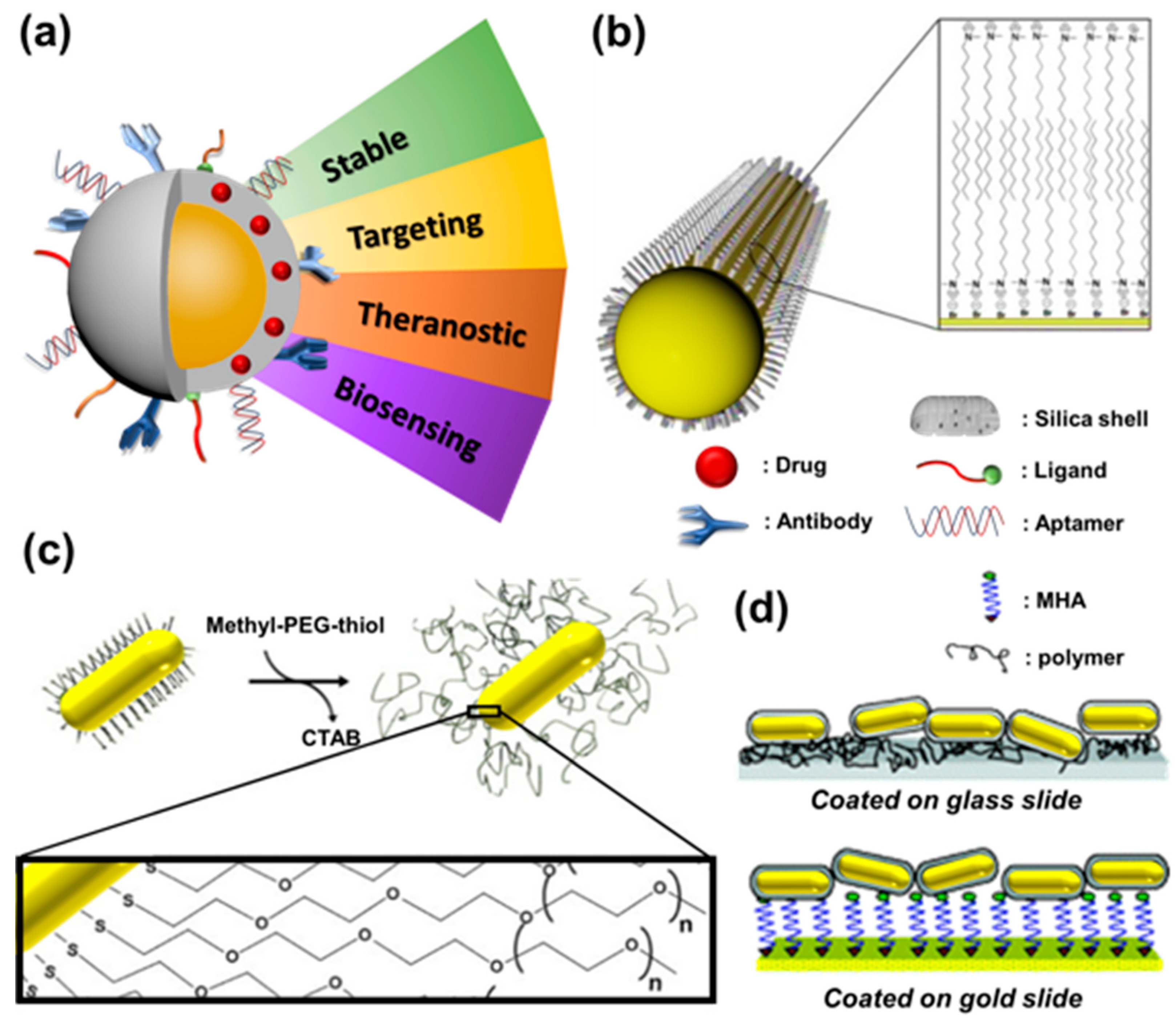 Molecules 28 00364 g003