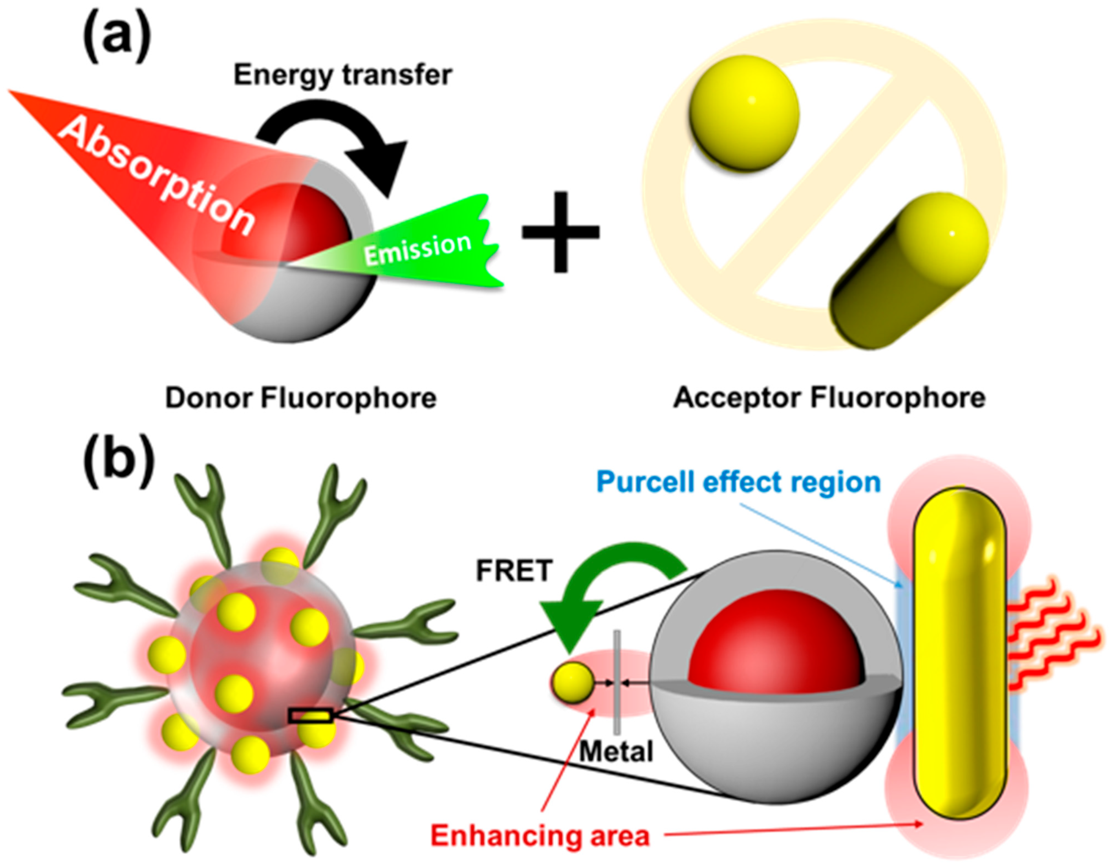 Molecules 28 00364 g004
