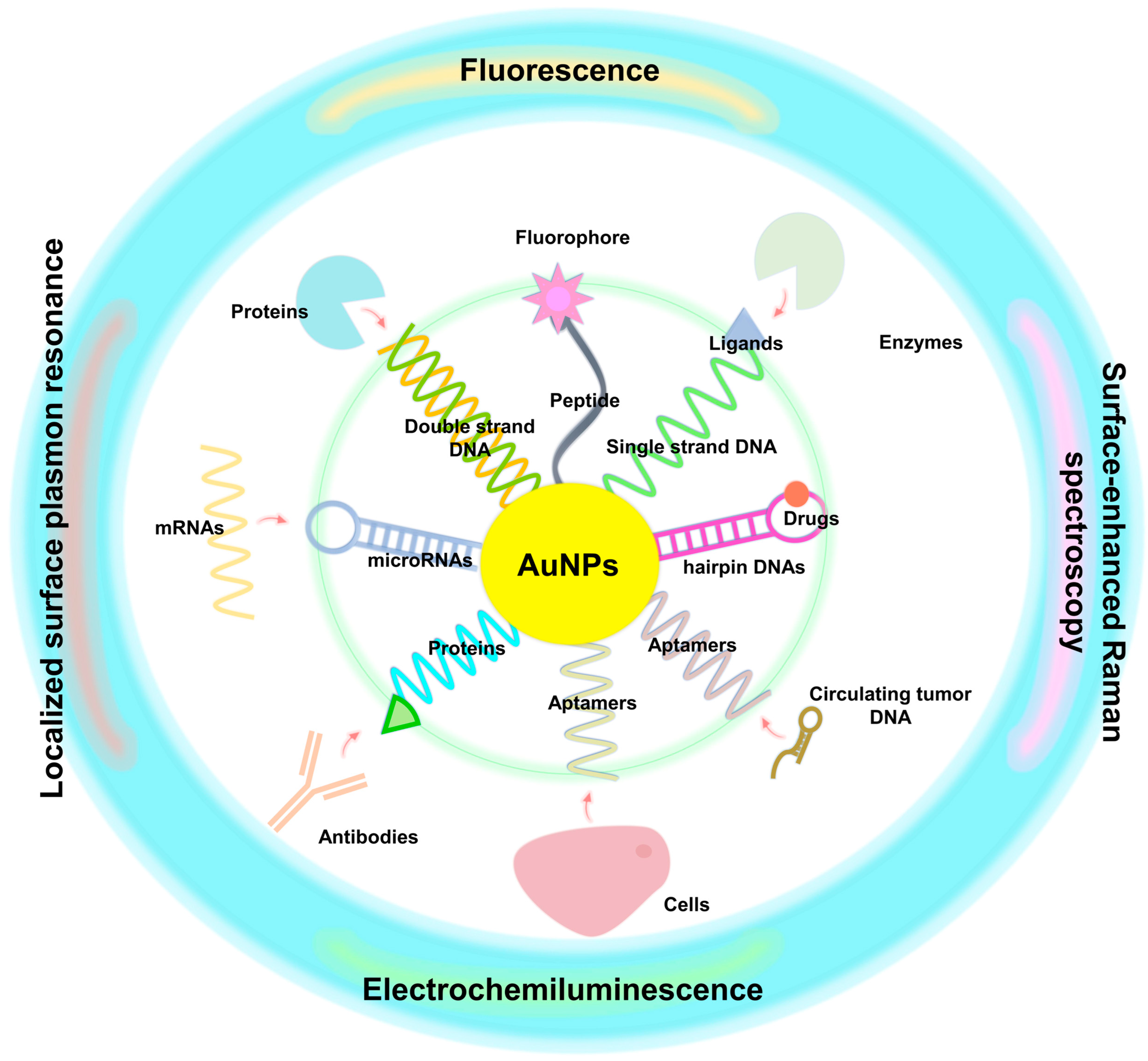 Molecules 28 00364 g005