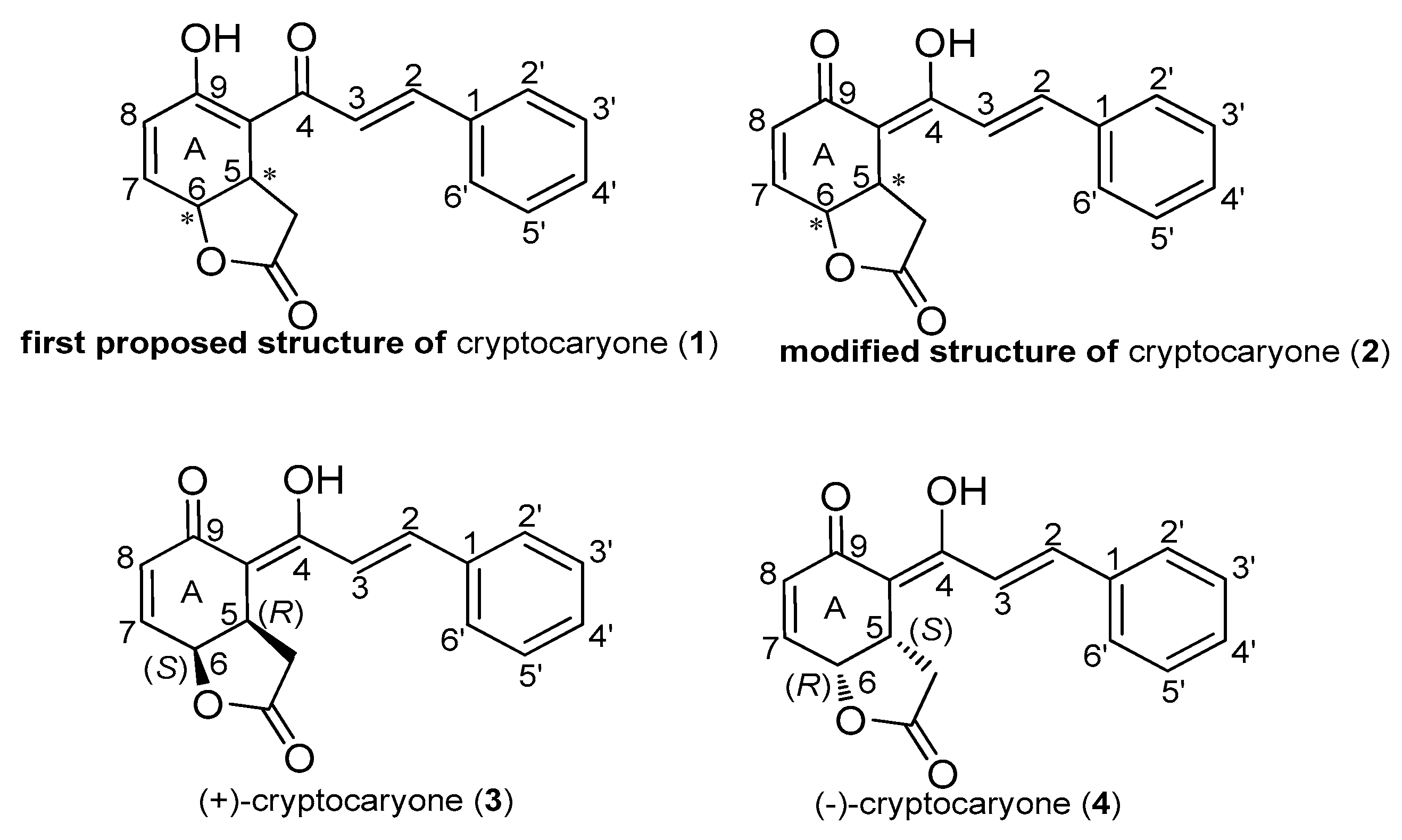 Molecules 28 00365 g002
