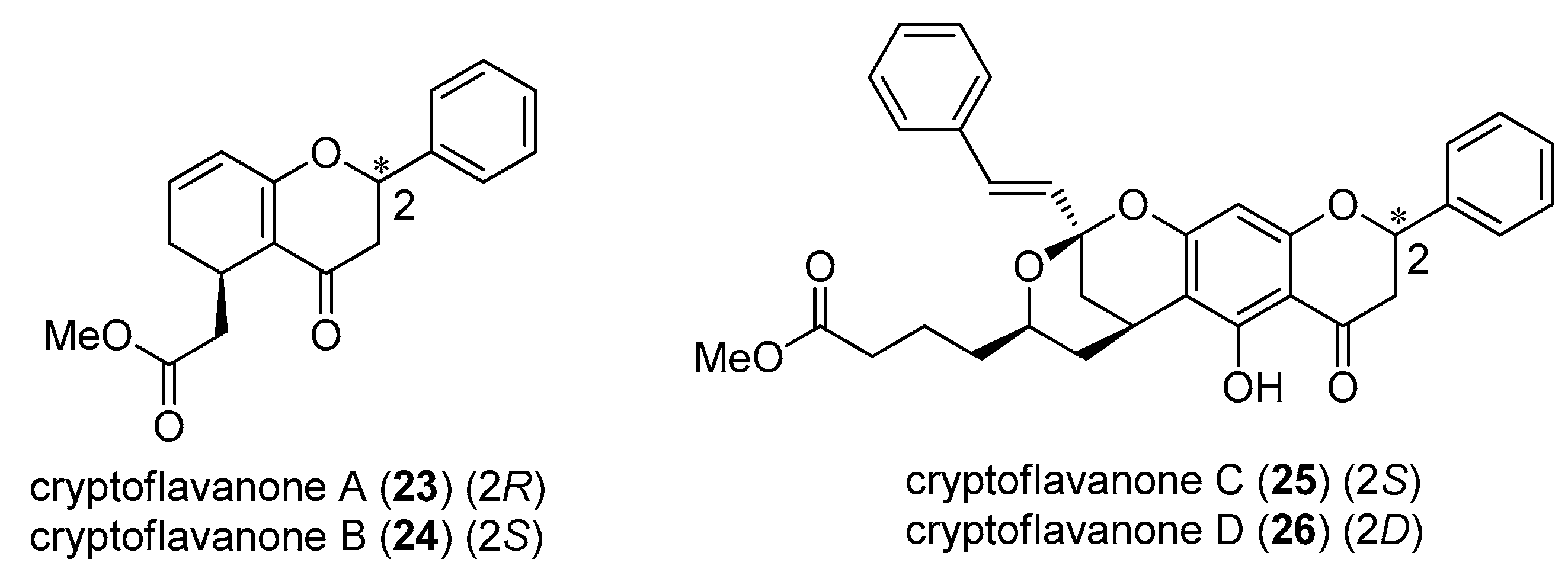 Molecules 28 00365 g006