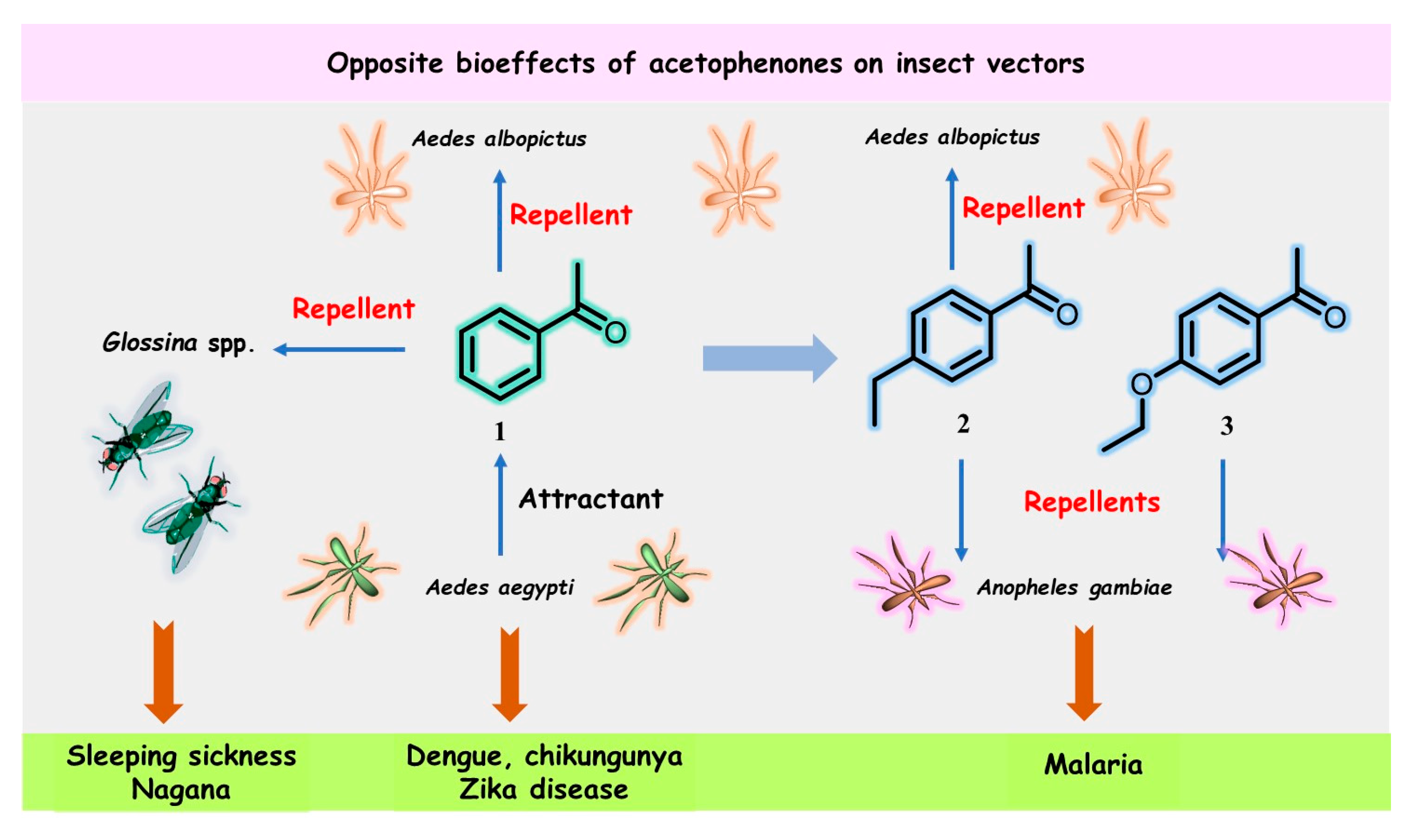 Molecules 28 00370 g001 Molecules 28 00370 g001