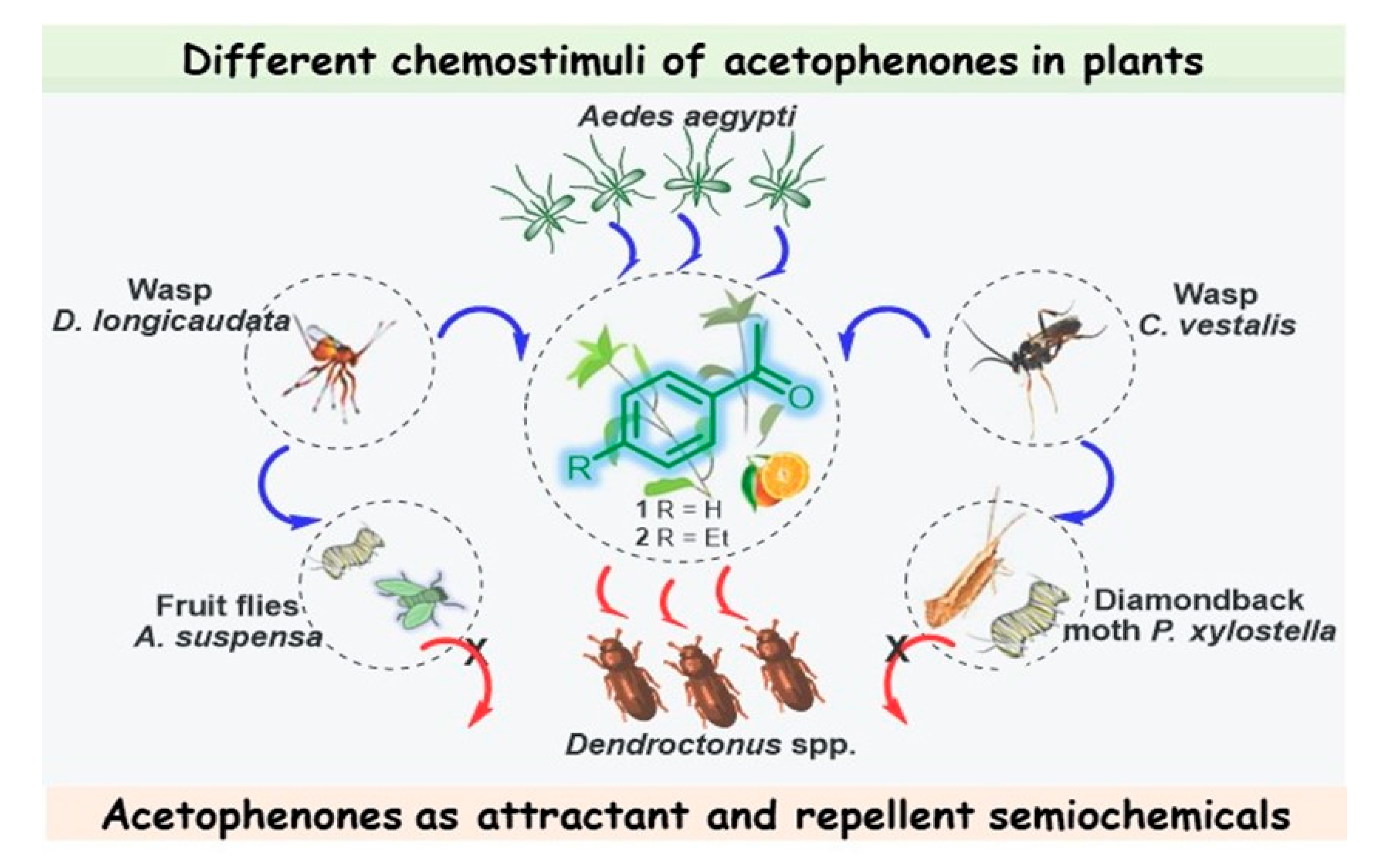 Molecules 28 00370 g002 Molecules 28 00370 g002