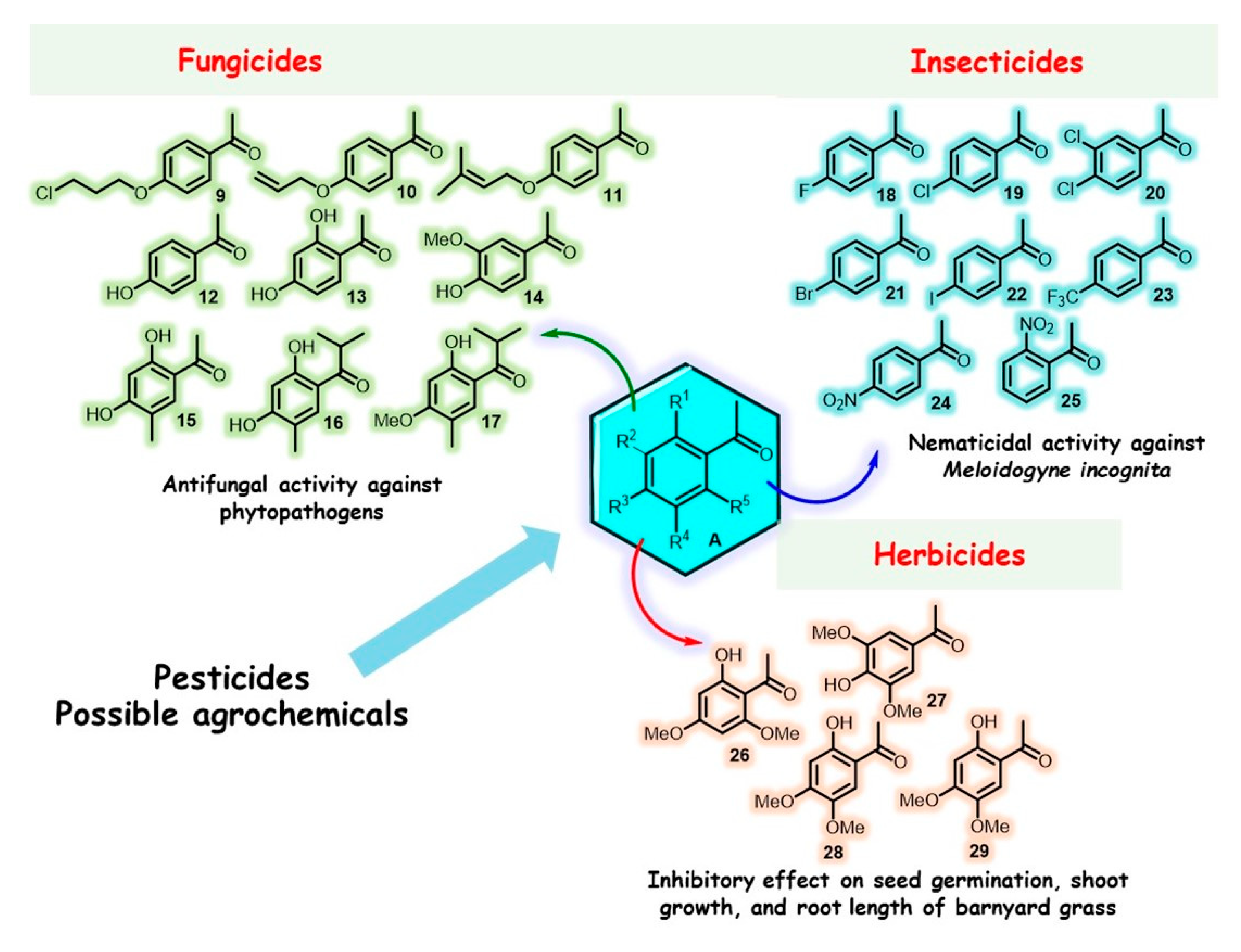 Molecules 28 00370 g005 Molecules 28 00370 g005