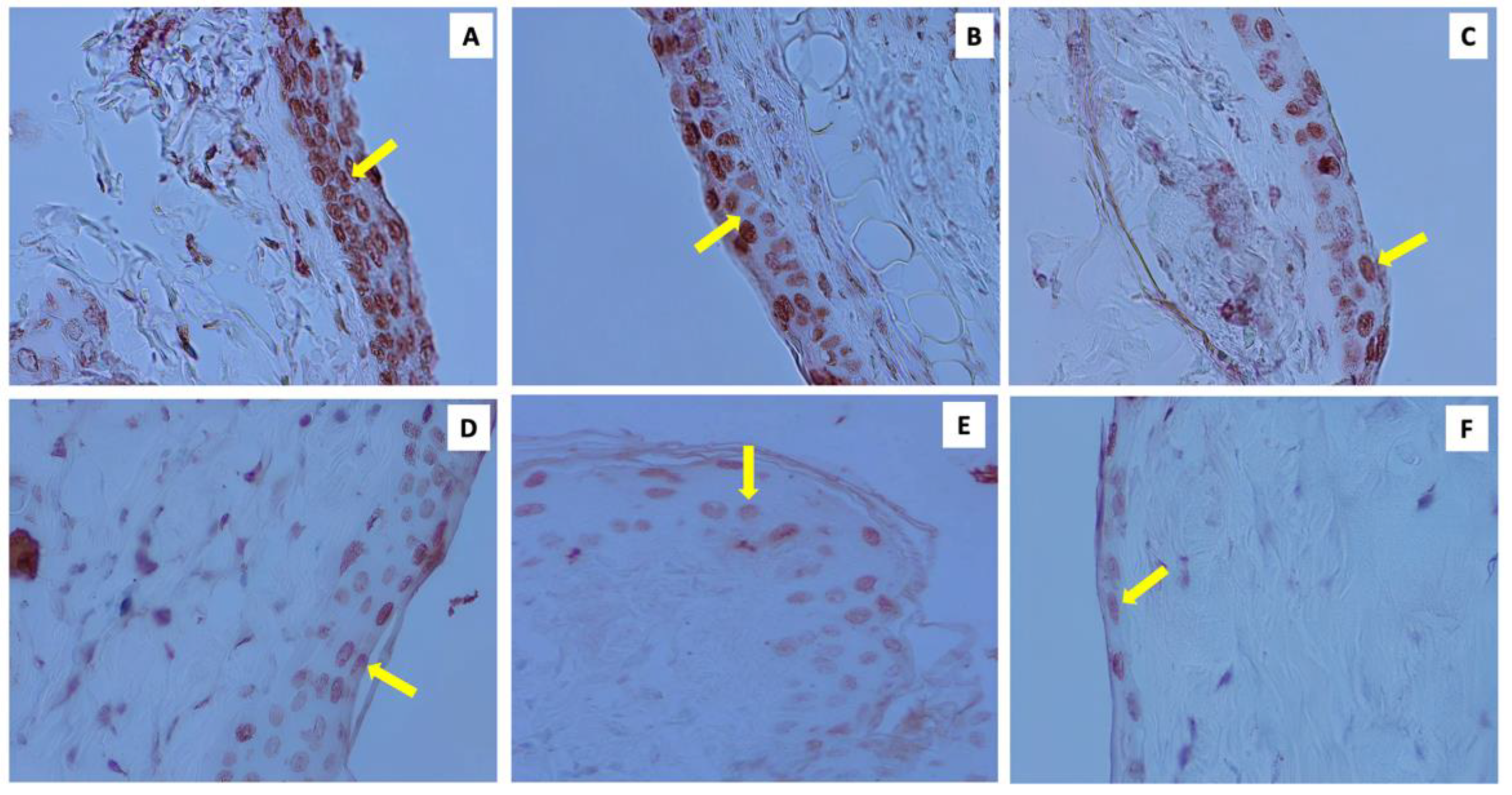 Molecules 28 00371 g002