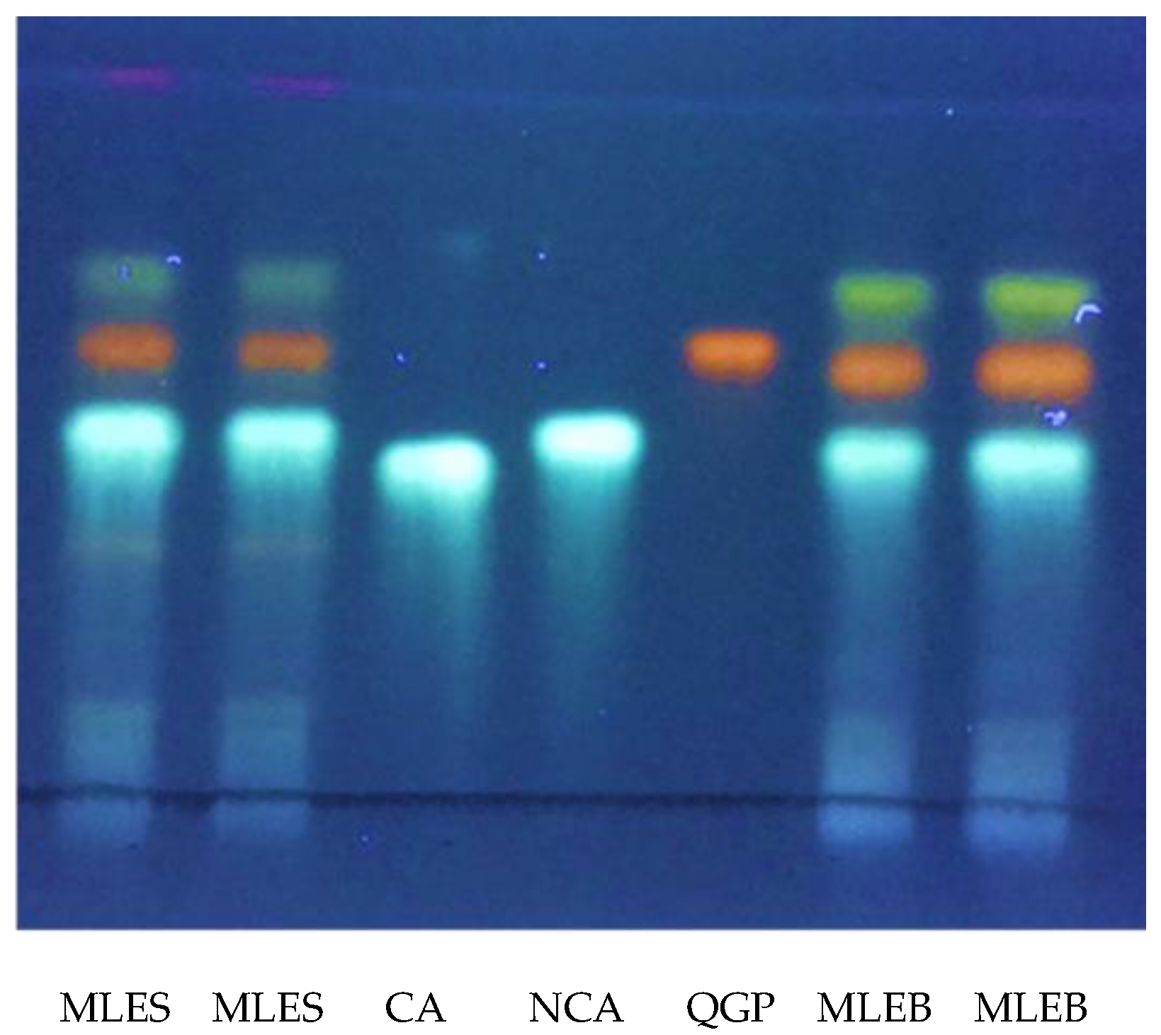 Molecules 28 00373 g002 Molecules 28 00373 g002