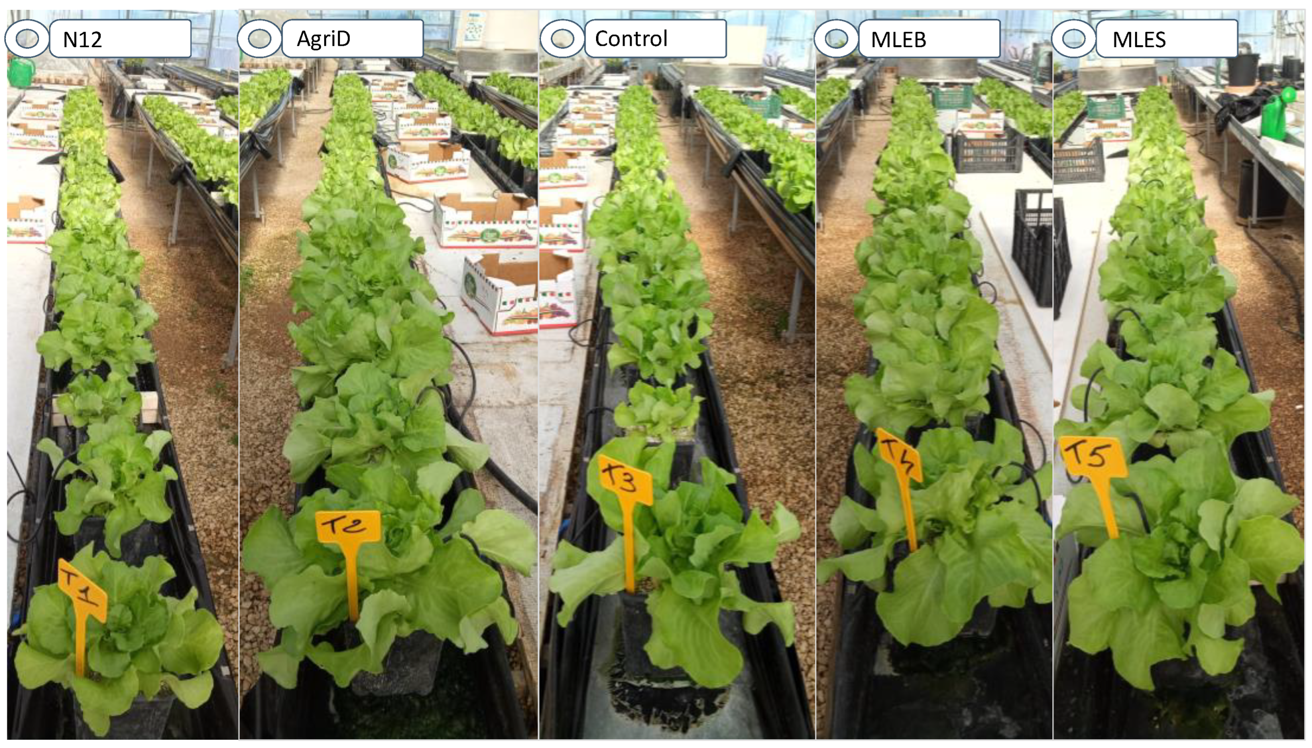 Molecules 28 00373 g003 Molecules 28 00373 g003
