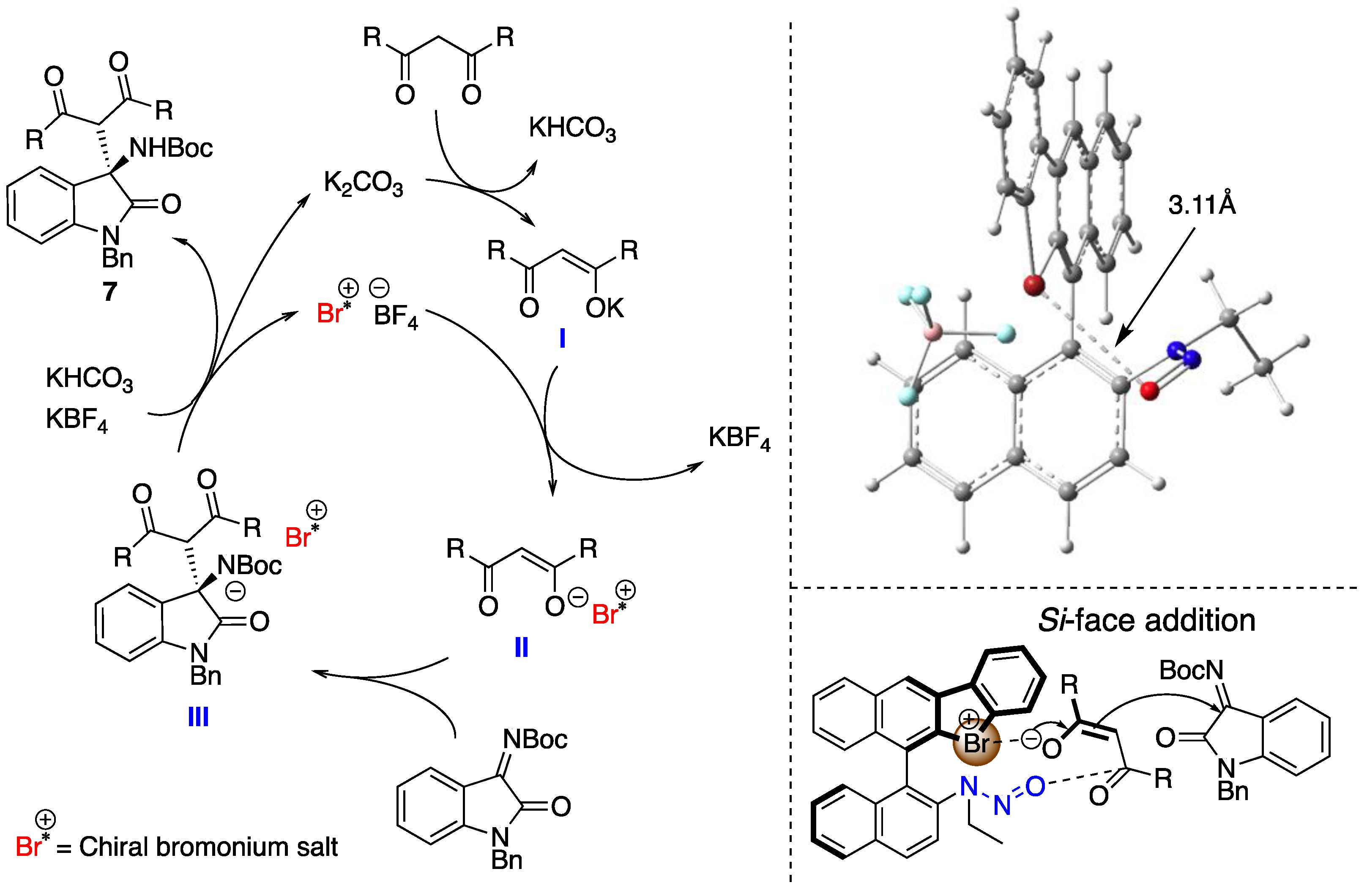 Molecules 28 00384 g007