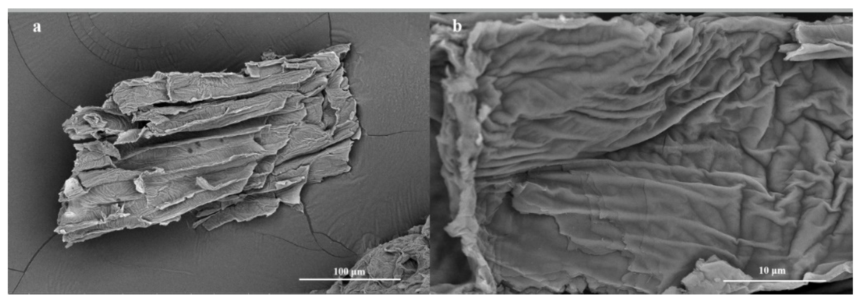 Molecules 28 00386 g003 Molecules 28 00386 g003