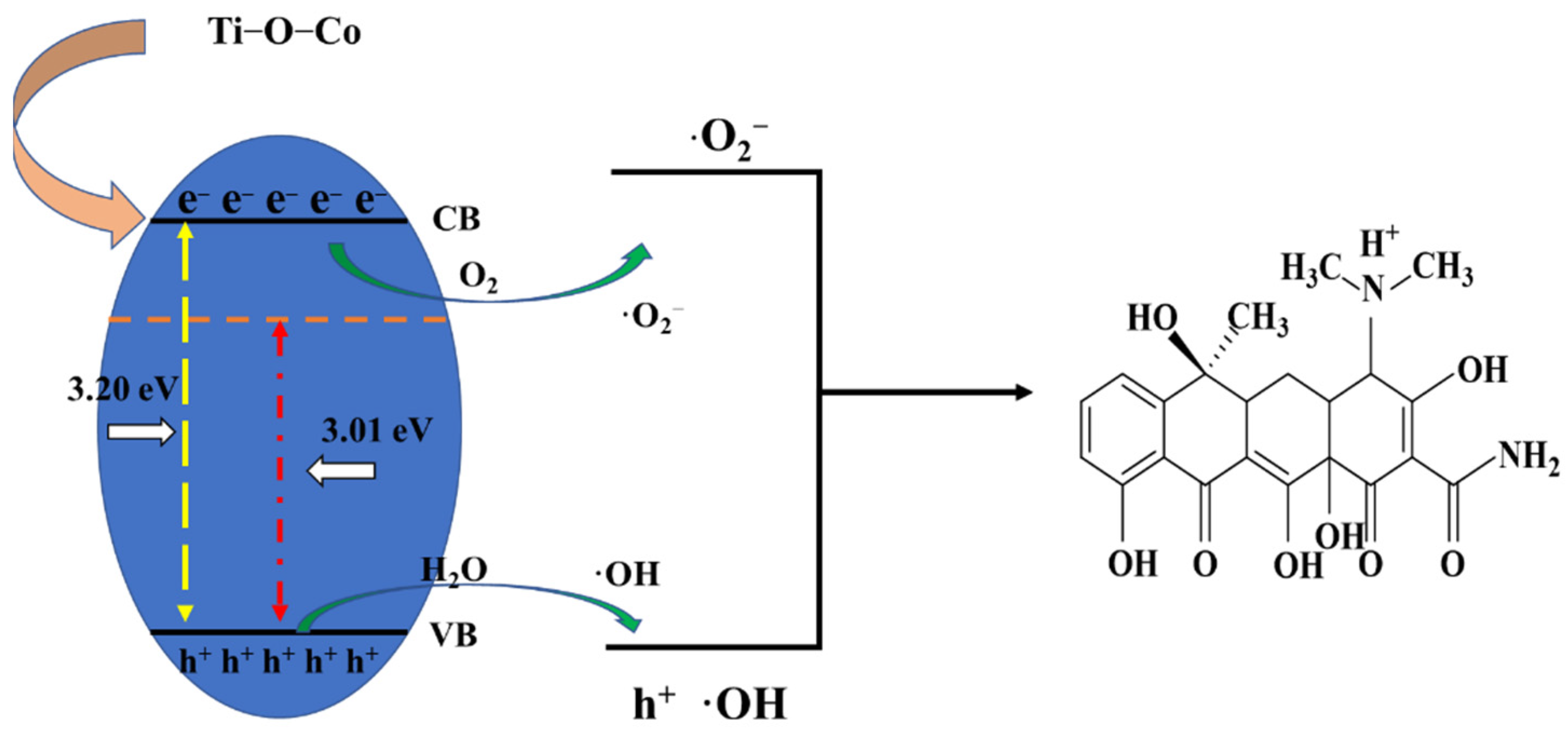 Molecules 28 00386 g011 Molecules 28 00386 g011