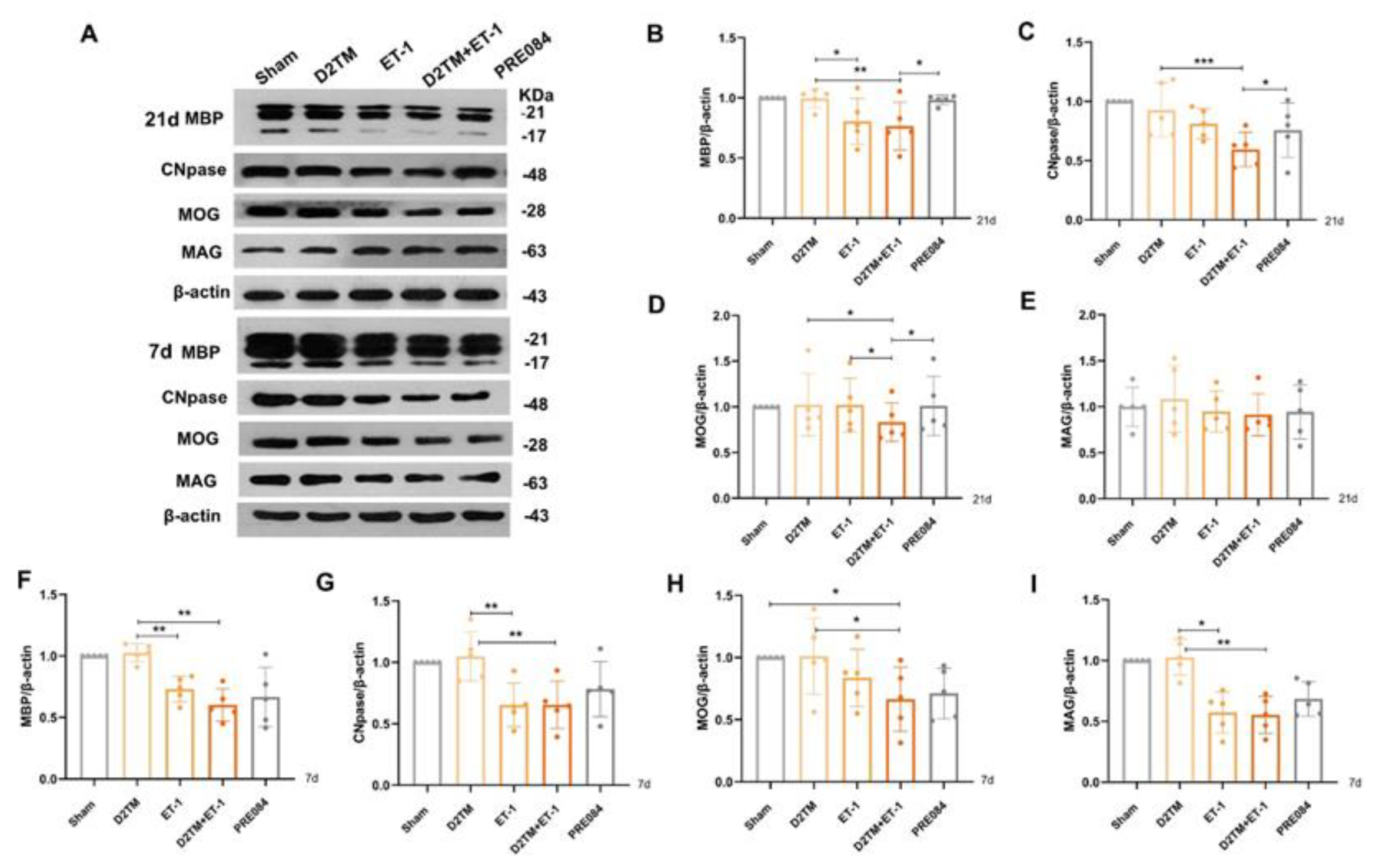Molecules 28 00390 g004 Molecules 28 00390 g004