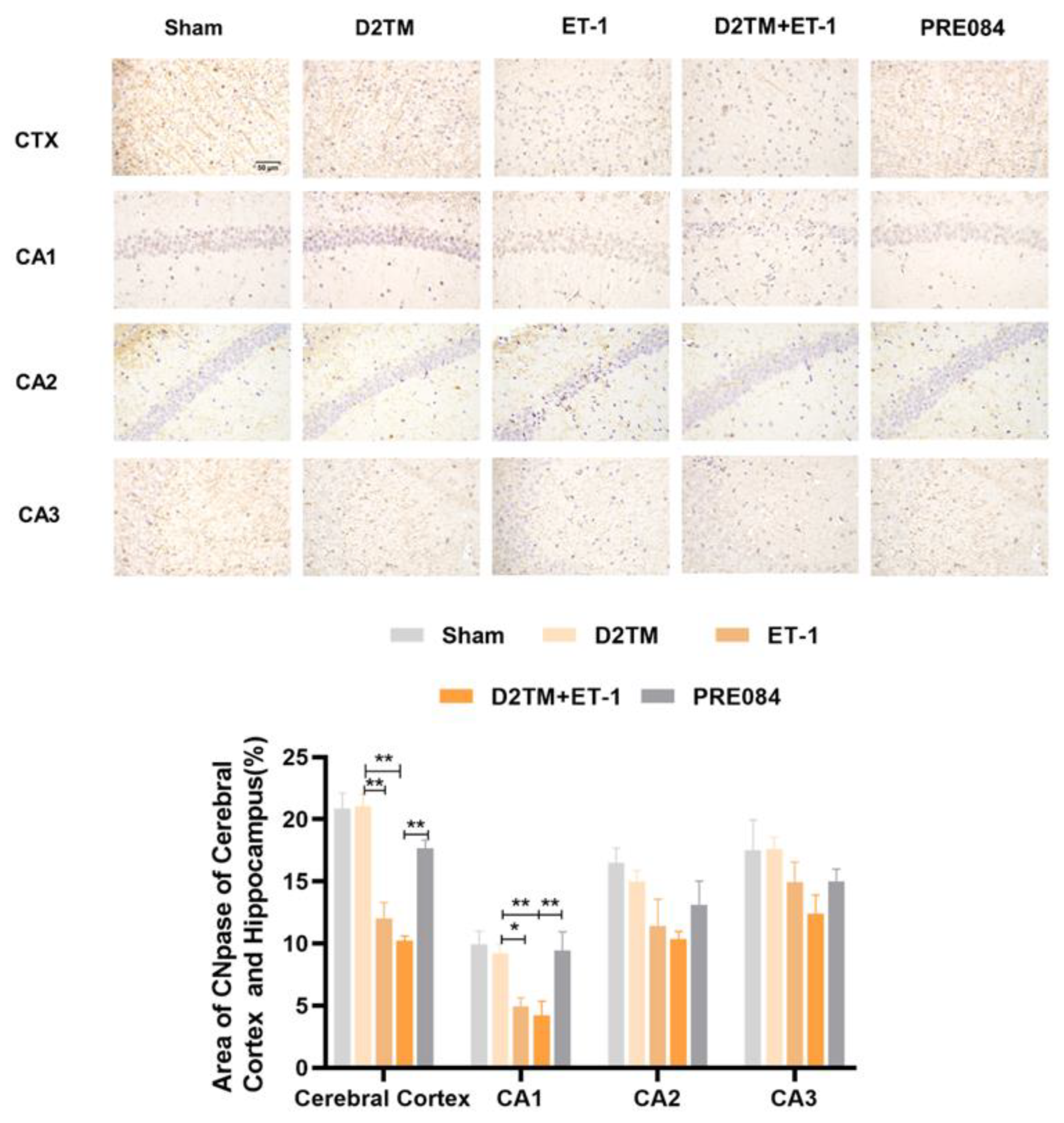 Molecules 28 00390 g005 Molecules 28 00390 g005