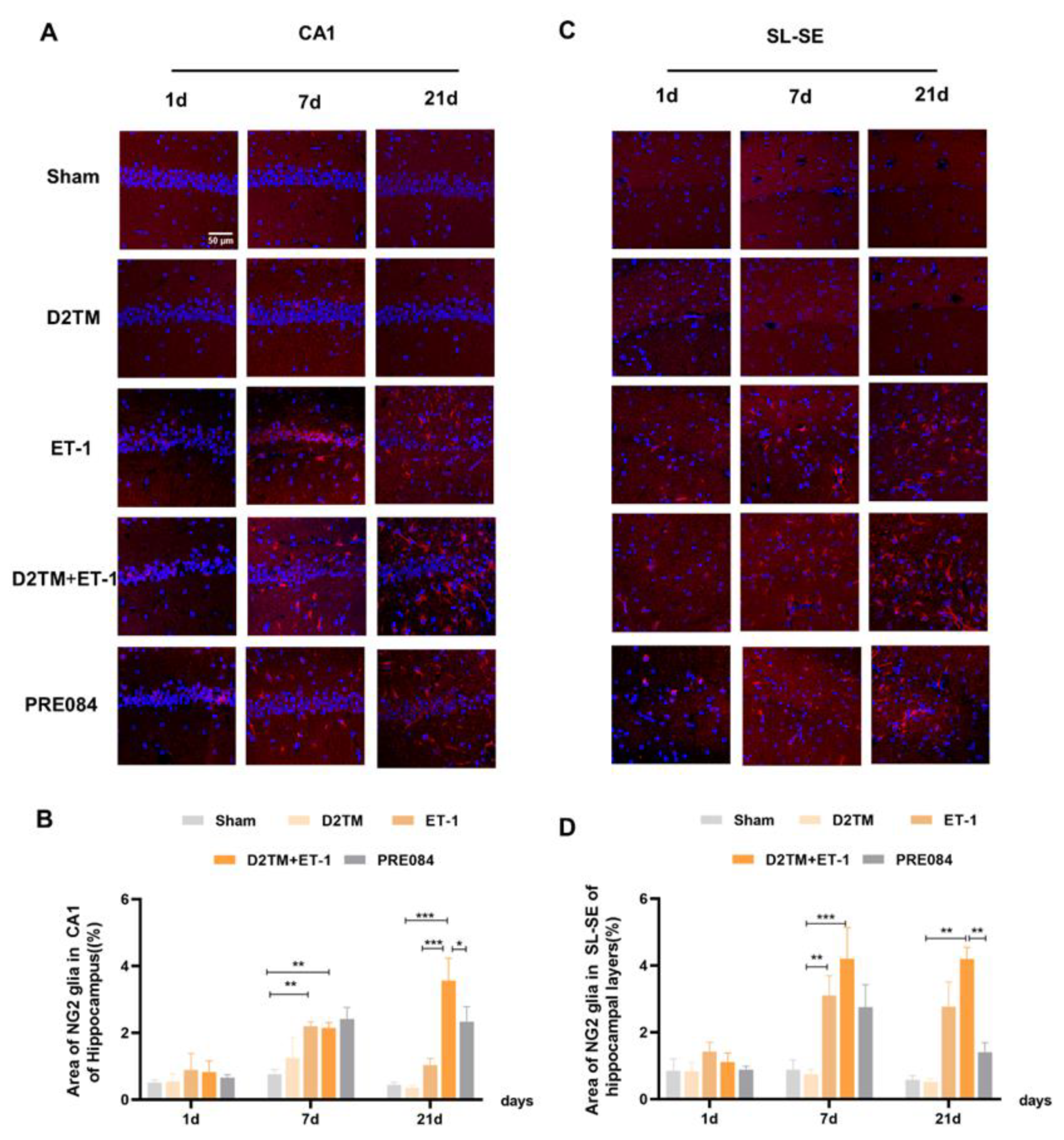 Molecules Free FullText Sigma1 Receptor Activation Improves Oligodendrogenesis and