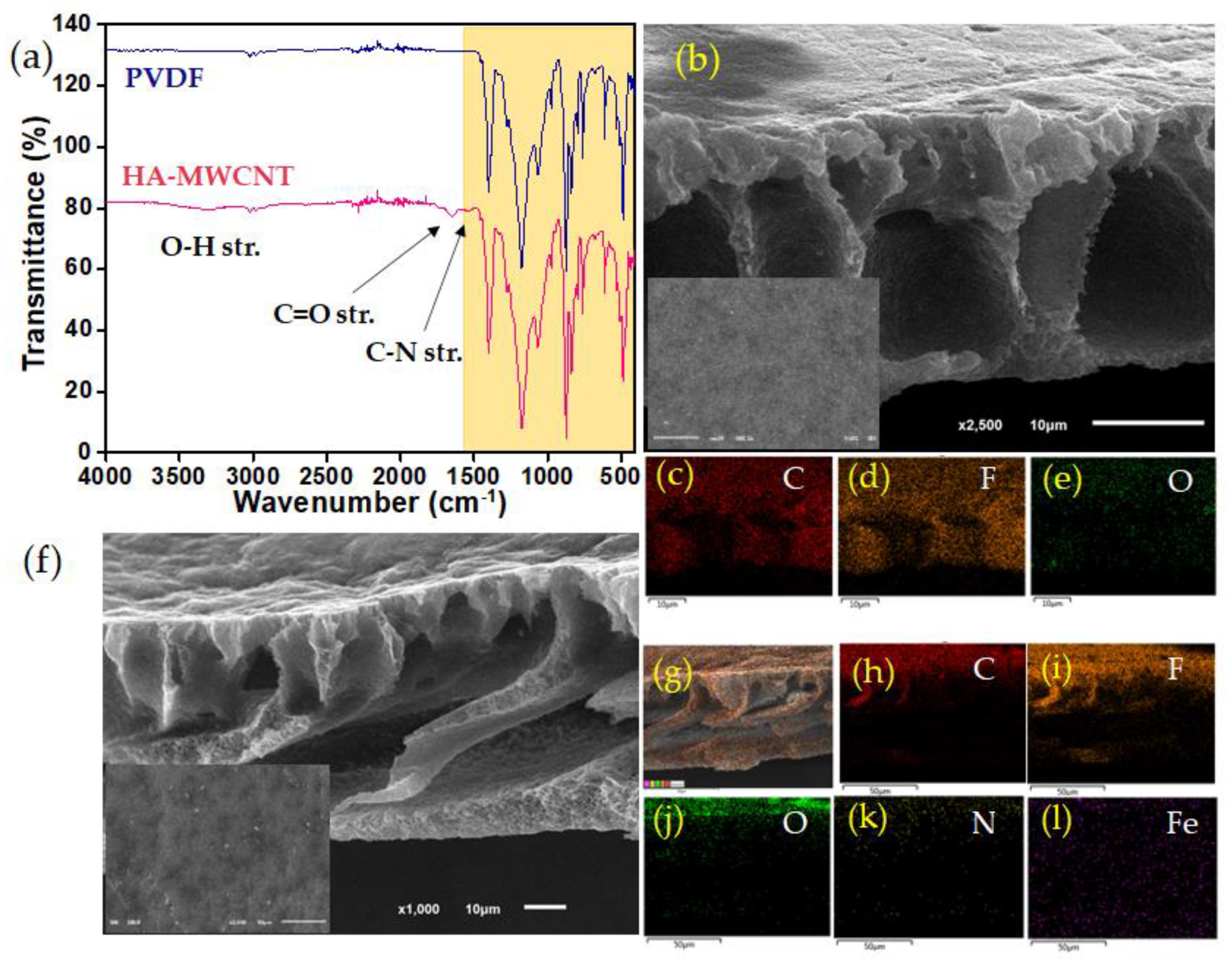 Molecules 28 00391 g005 Molecules 28 00391 g005