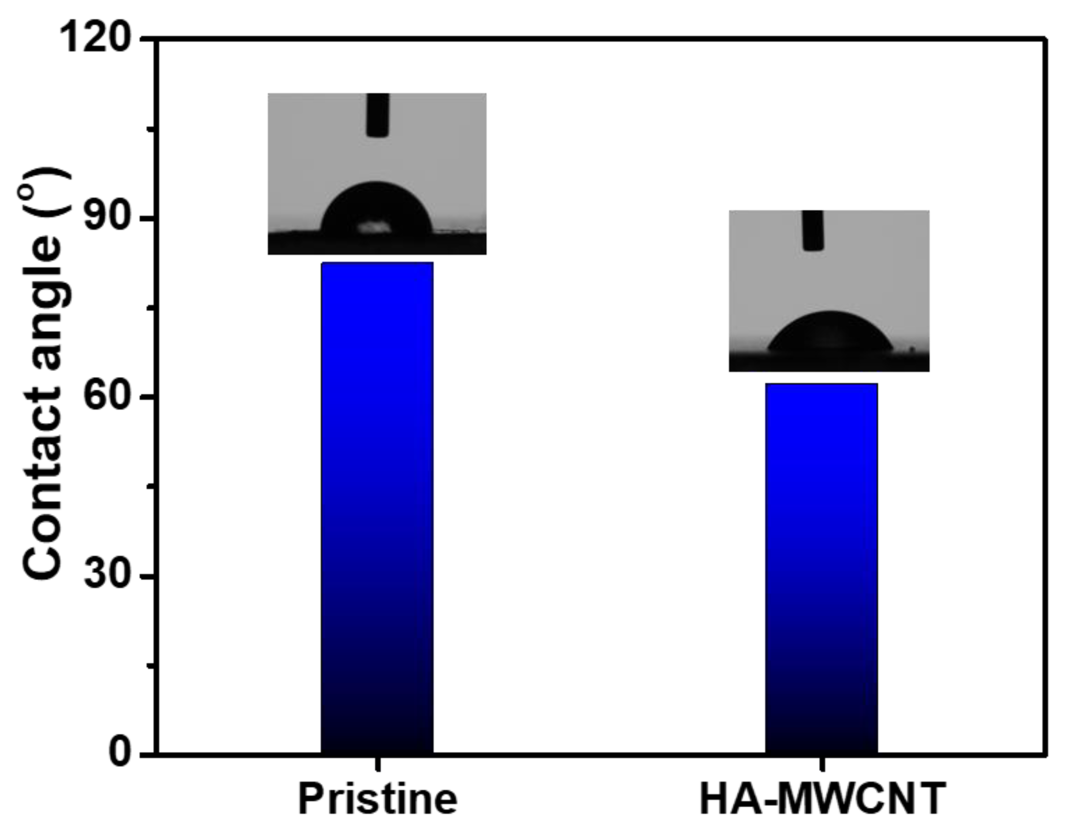 Molecules 28 00391 g007 Molecules 28 00391 g007