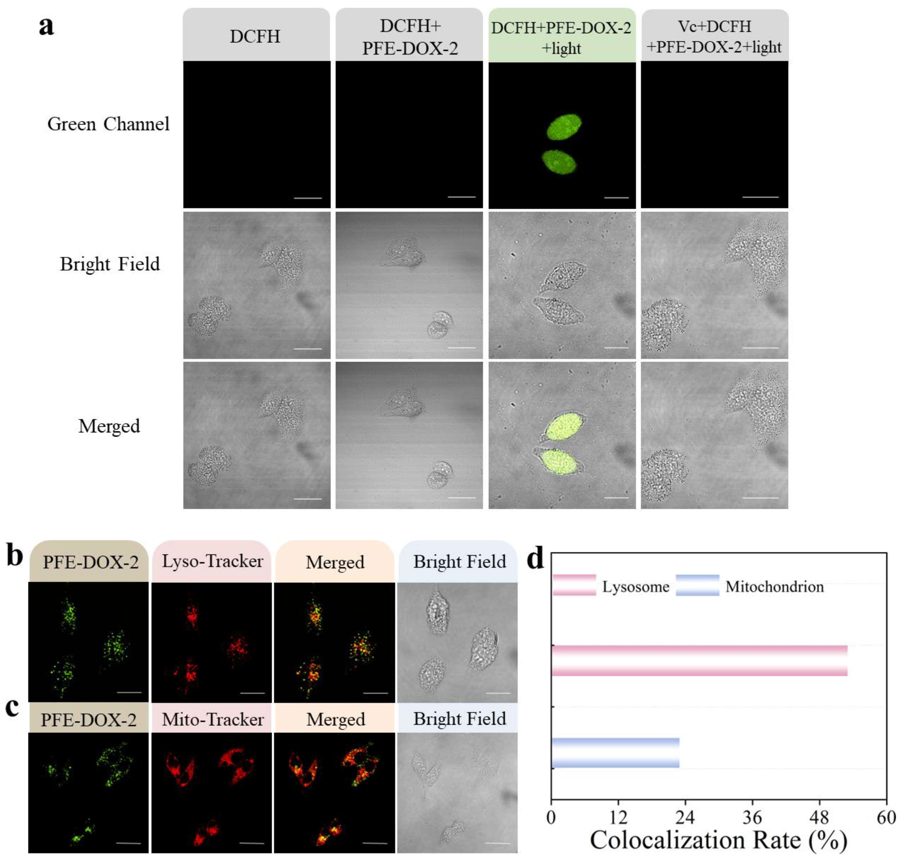 Molecules 28 00399 g005 Molecules 28 00399 g005