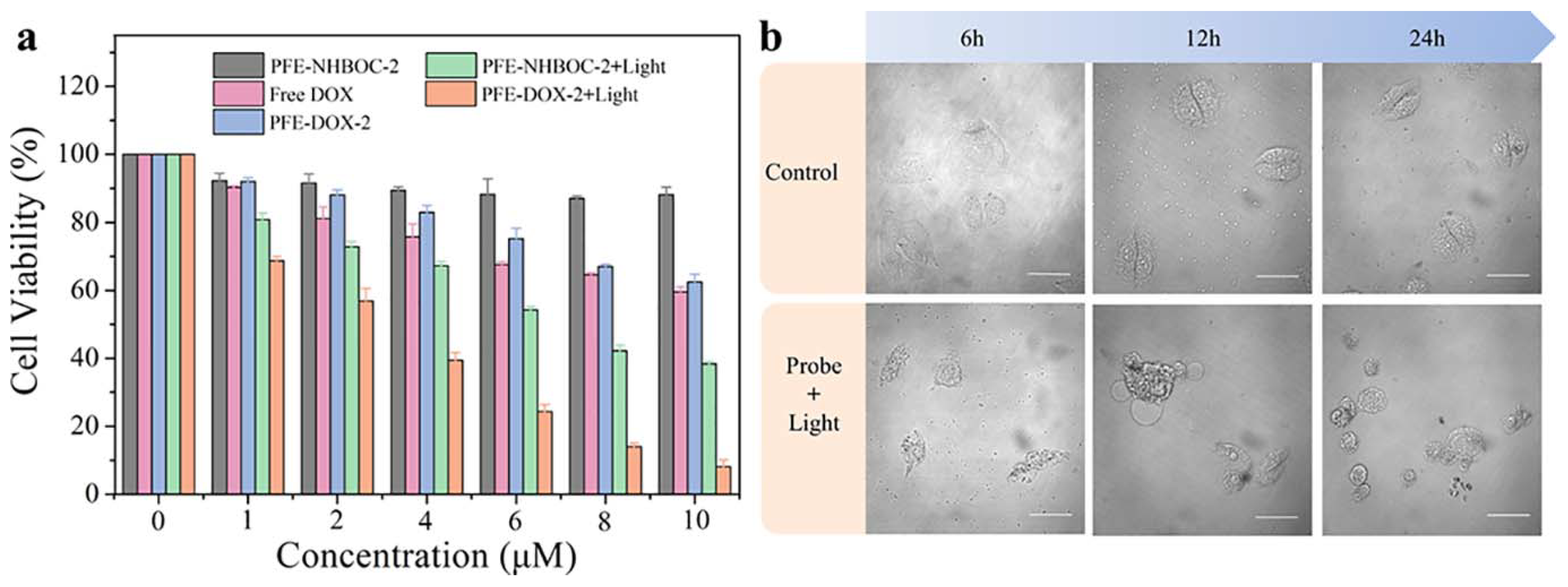 Molecules 28 00399 g006 Molecules 28 00399 g006