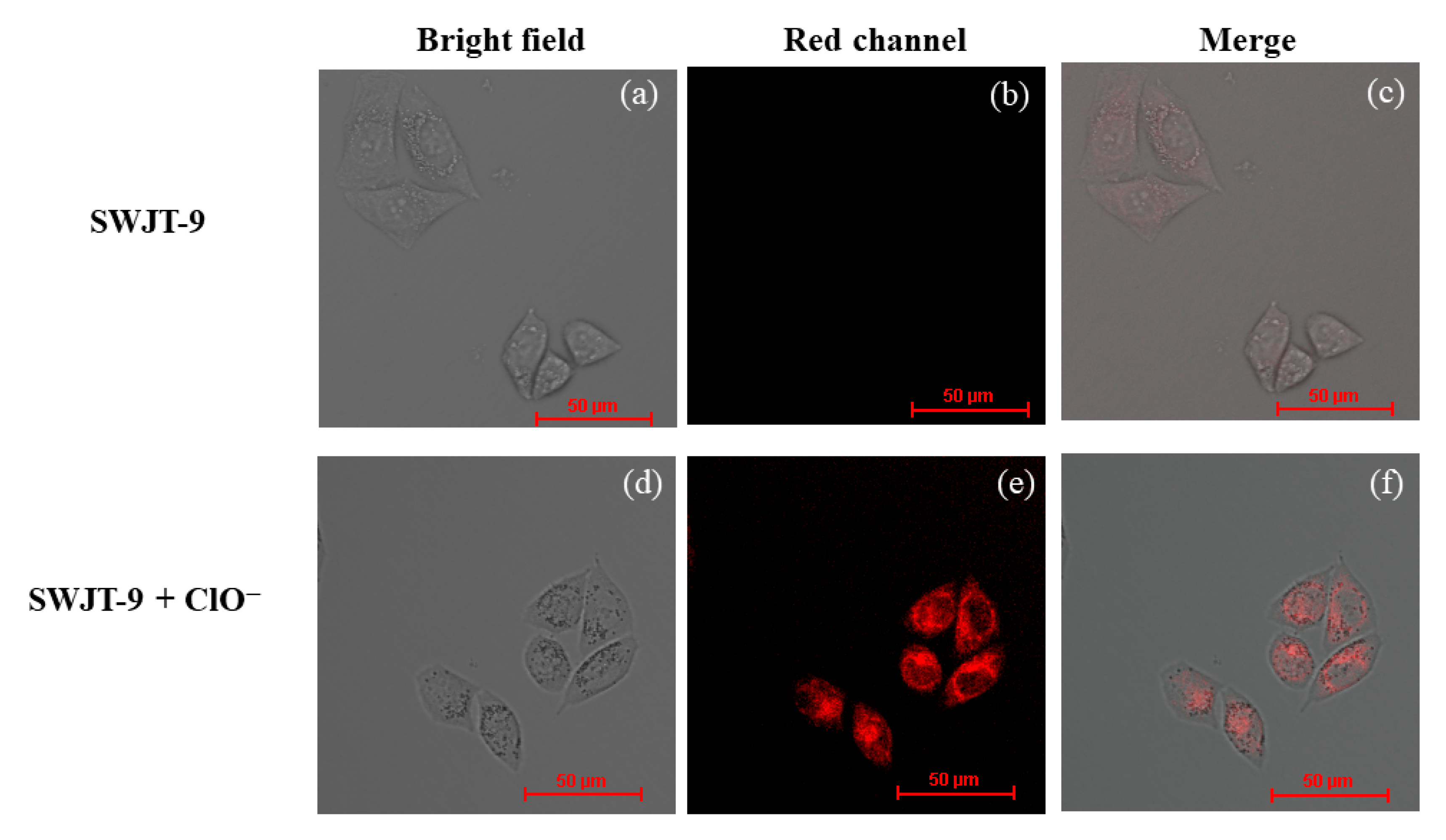 Molecules 28 00402 g005 Molecules 28 00402 g005