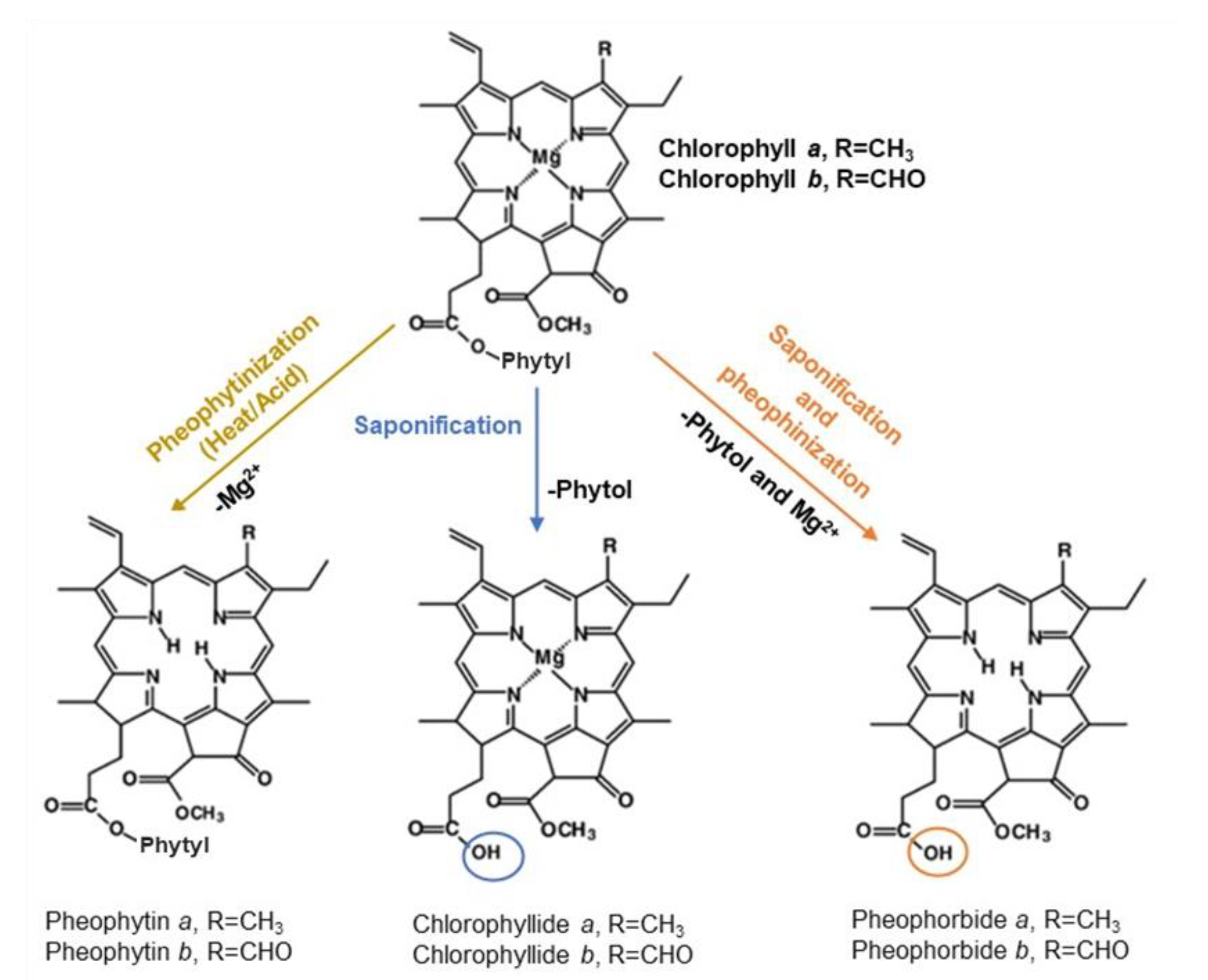 Molecules 28 00408 g001 Molecules 28 00408 g001