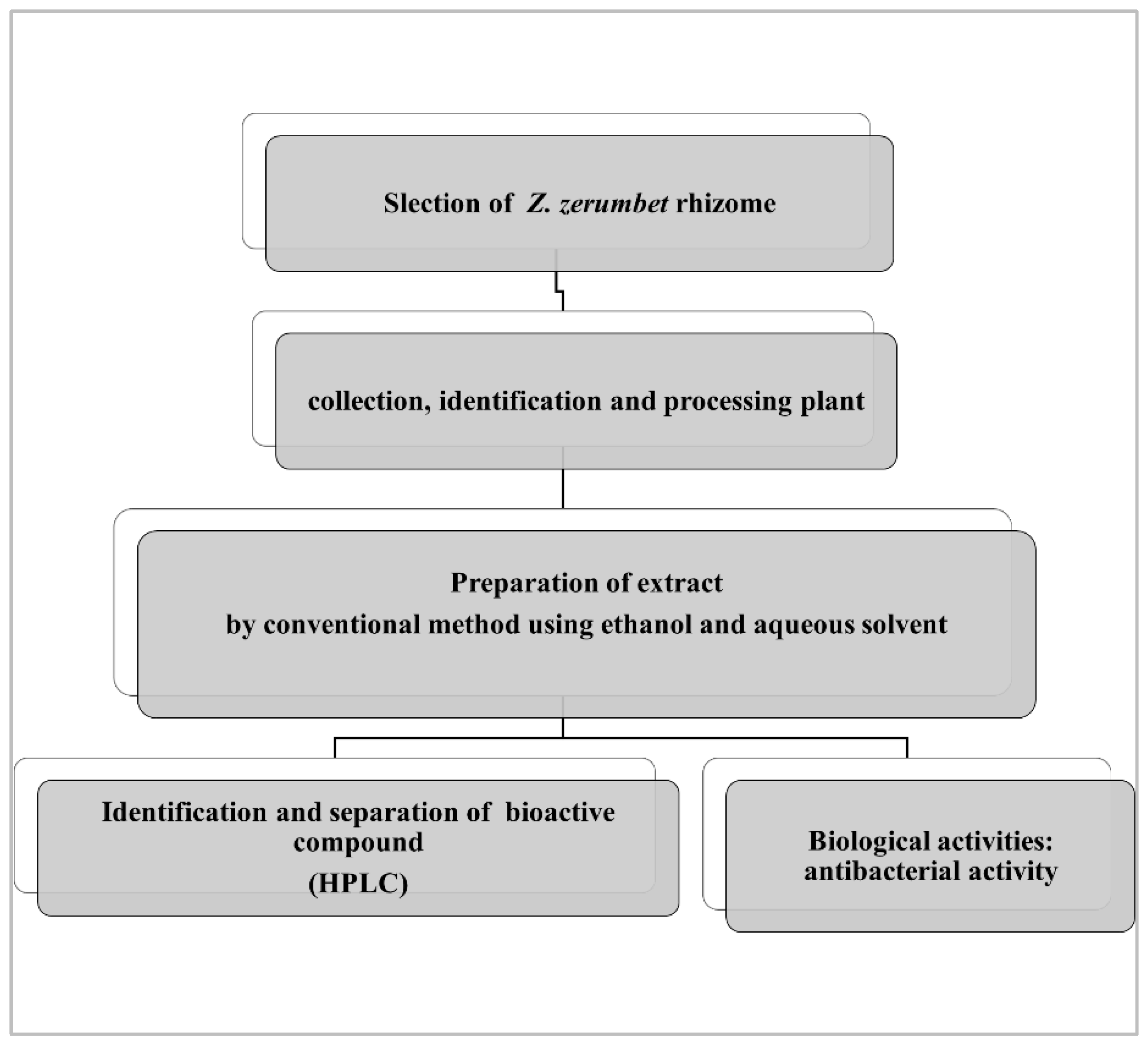 Molecules 28 00409 g003