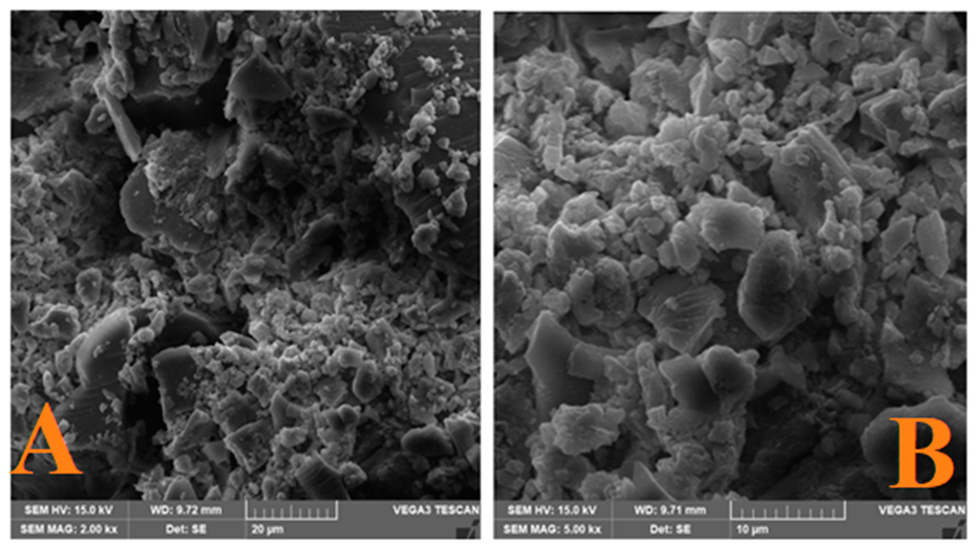 Molecules 28 00410 g004
