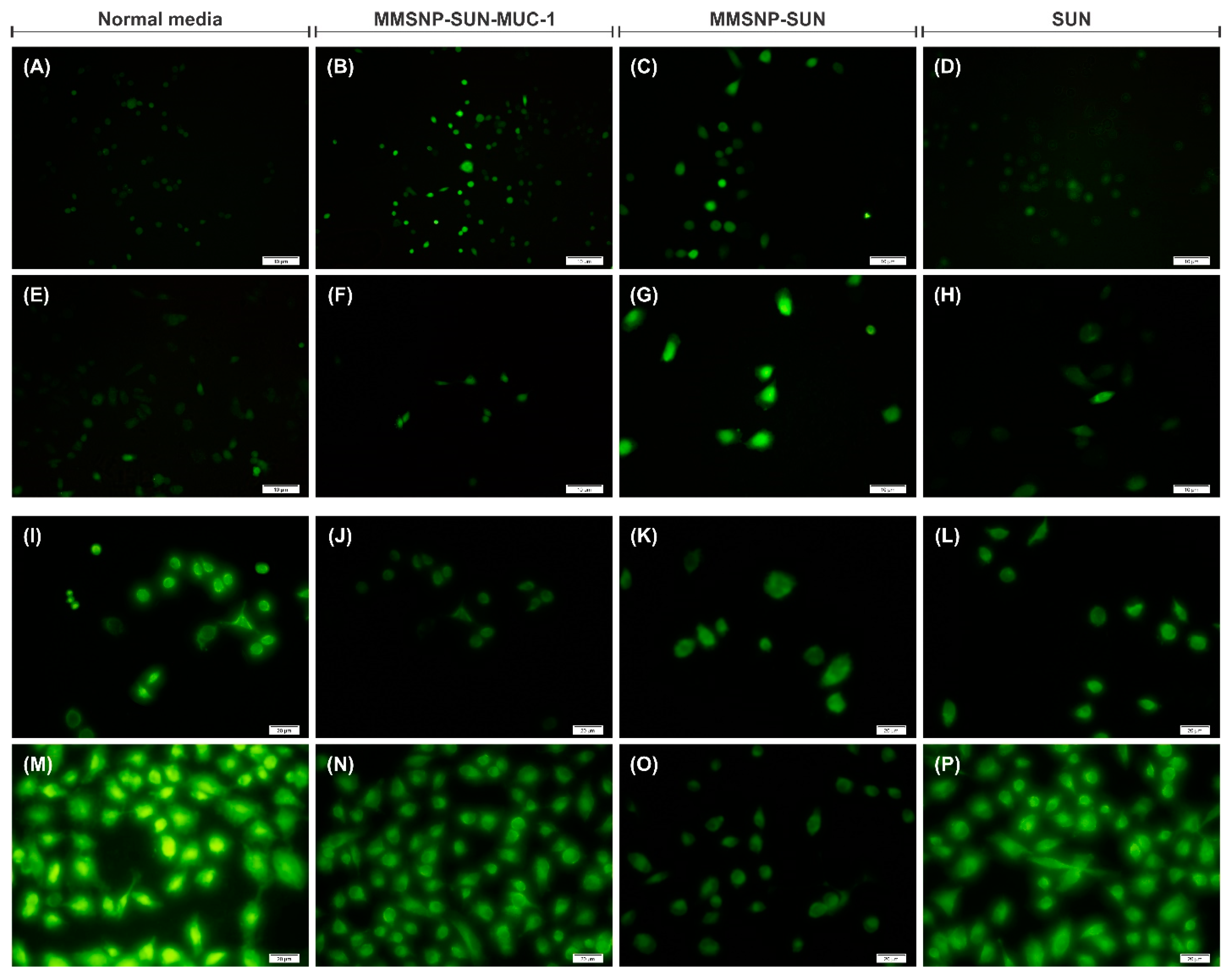 Molecules 28 00411 g007 Molecules 28 00411 g007