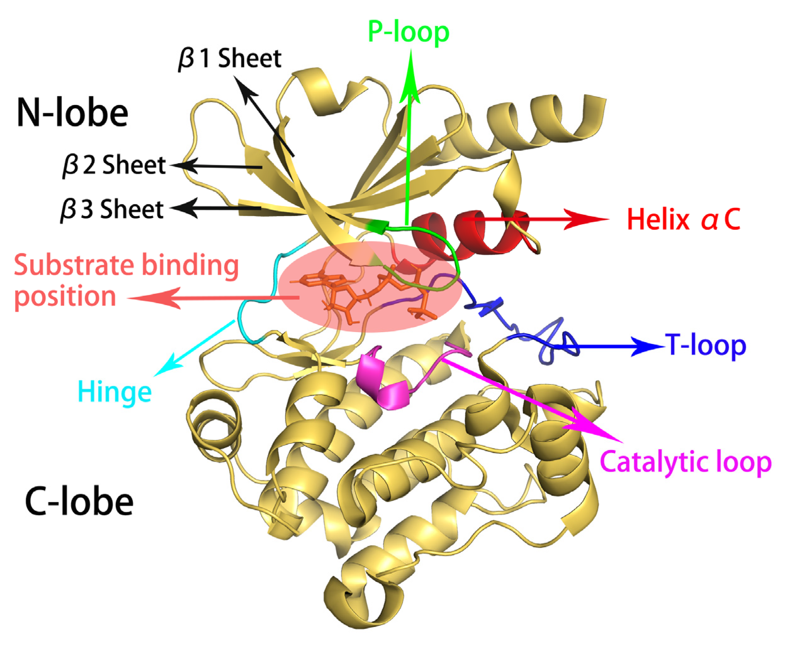 Molecules 28 00413 g001 Molecules 28 00413 g001