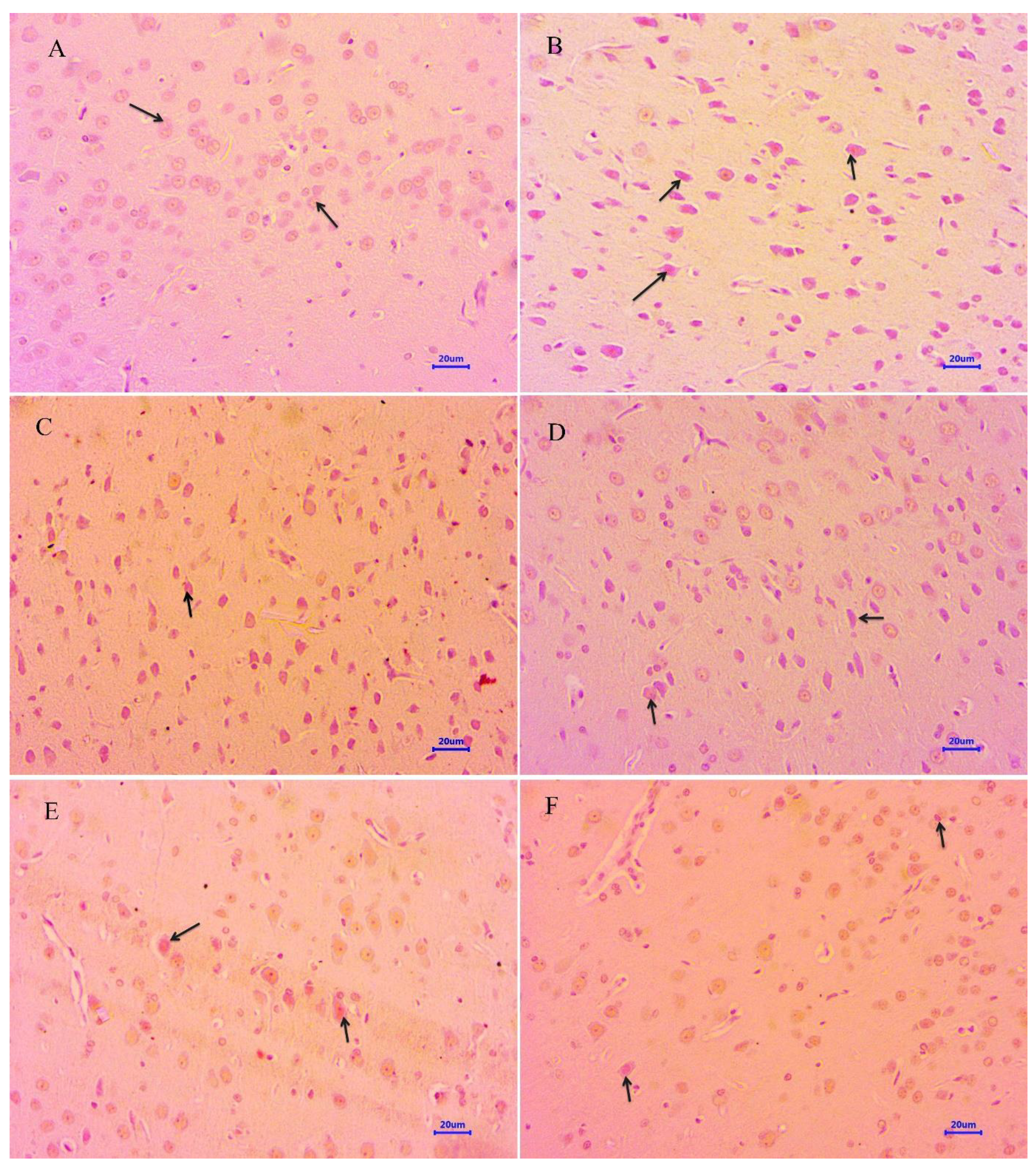 Molecules 28 00417 g009 Molecules 28 00417 g009
