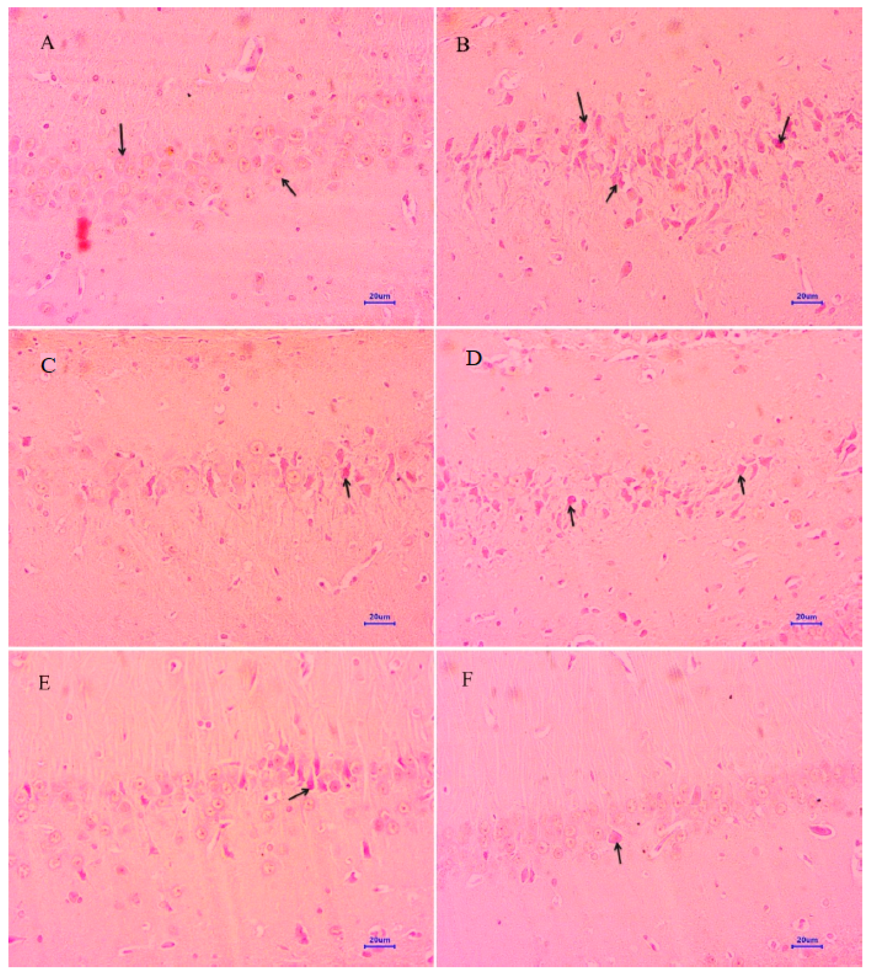 Molecules 28 00417 g010 Molecules 28 00417 g010